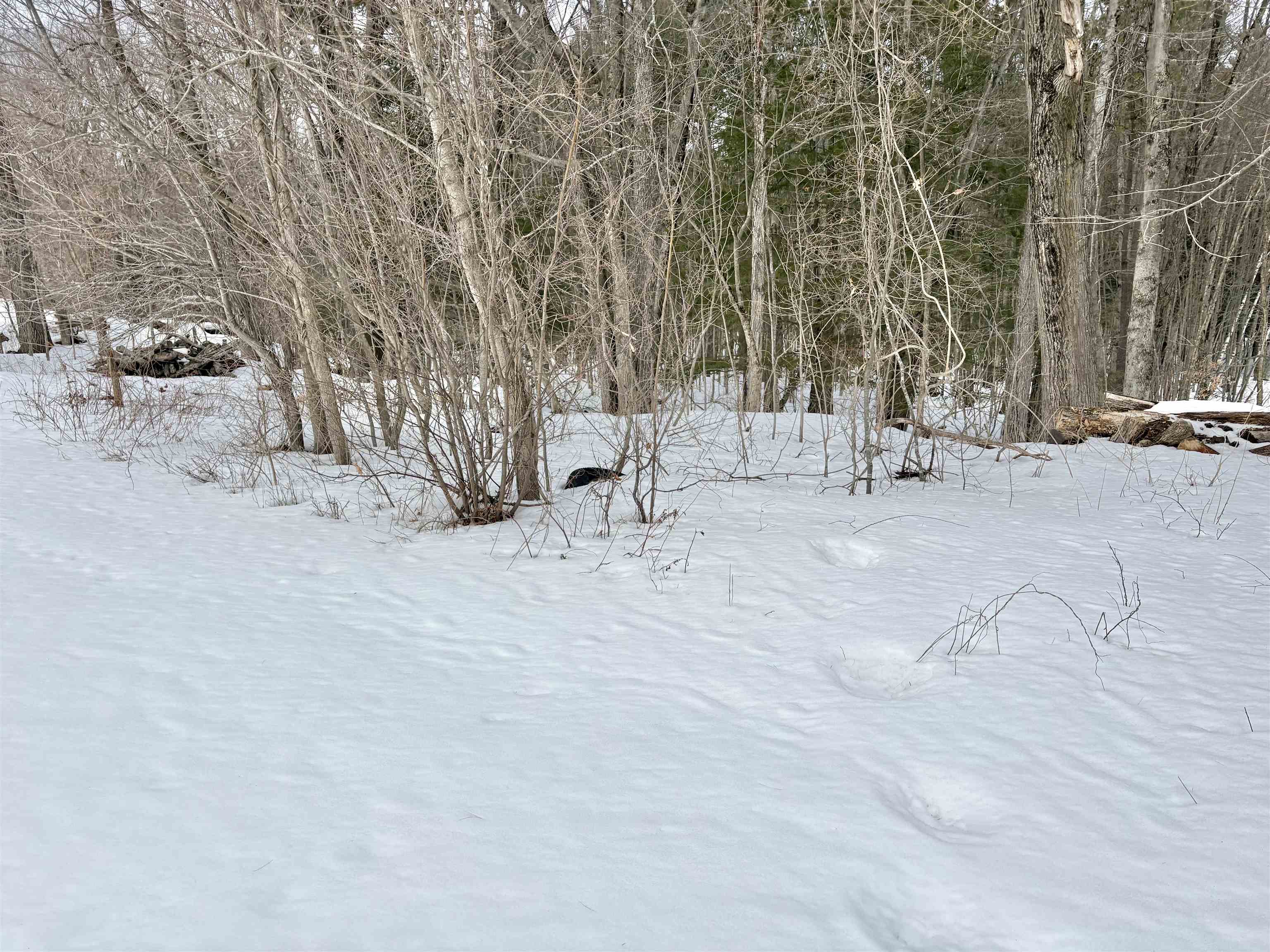 79-1 Currier Rd, Candia, NH 03034