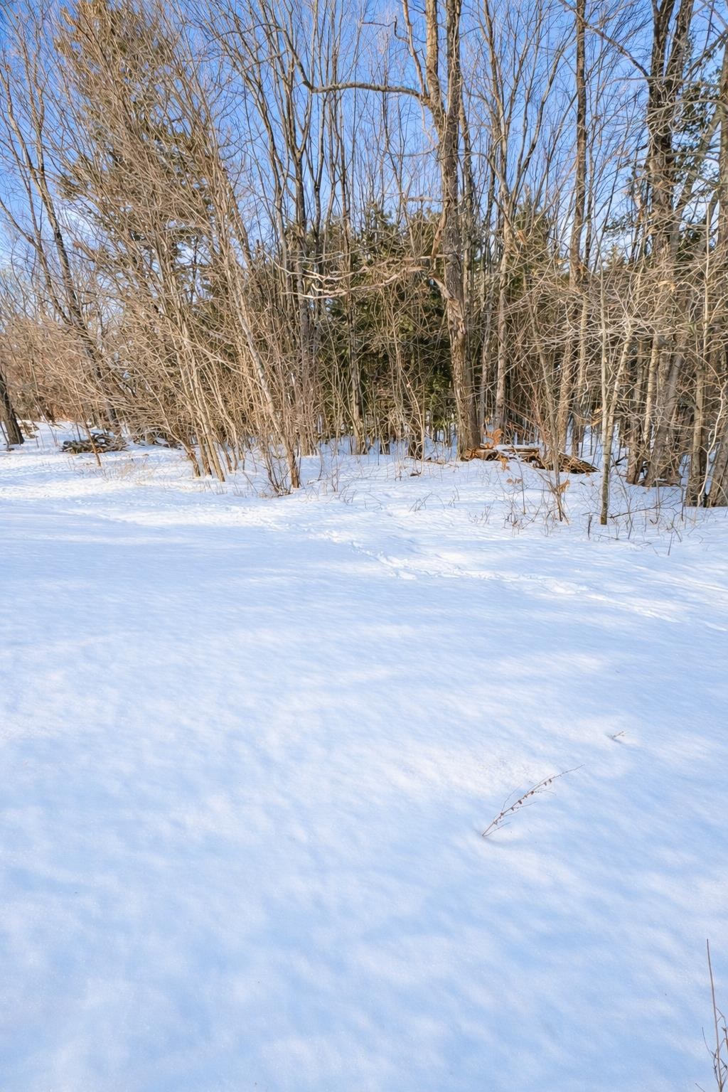 79-1 Currier Rd, Candia, NH 03034