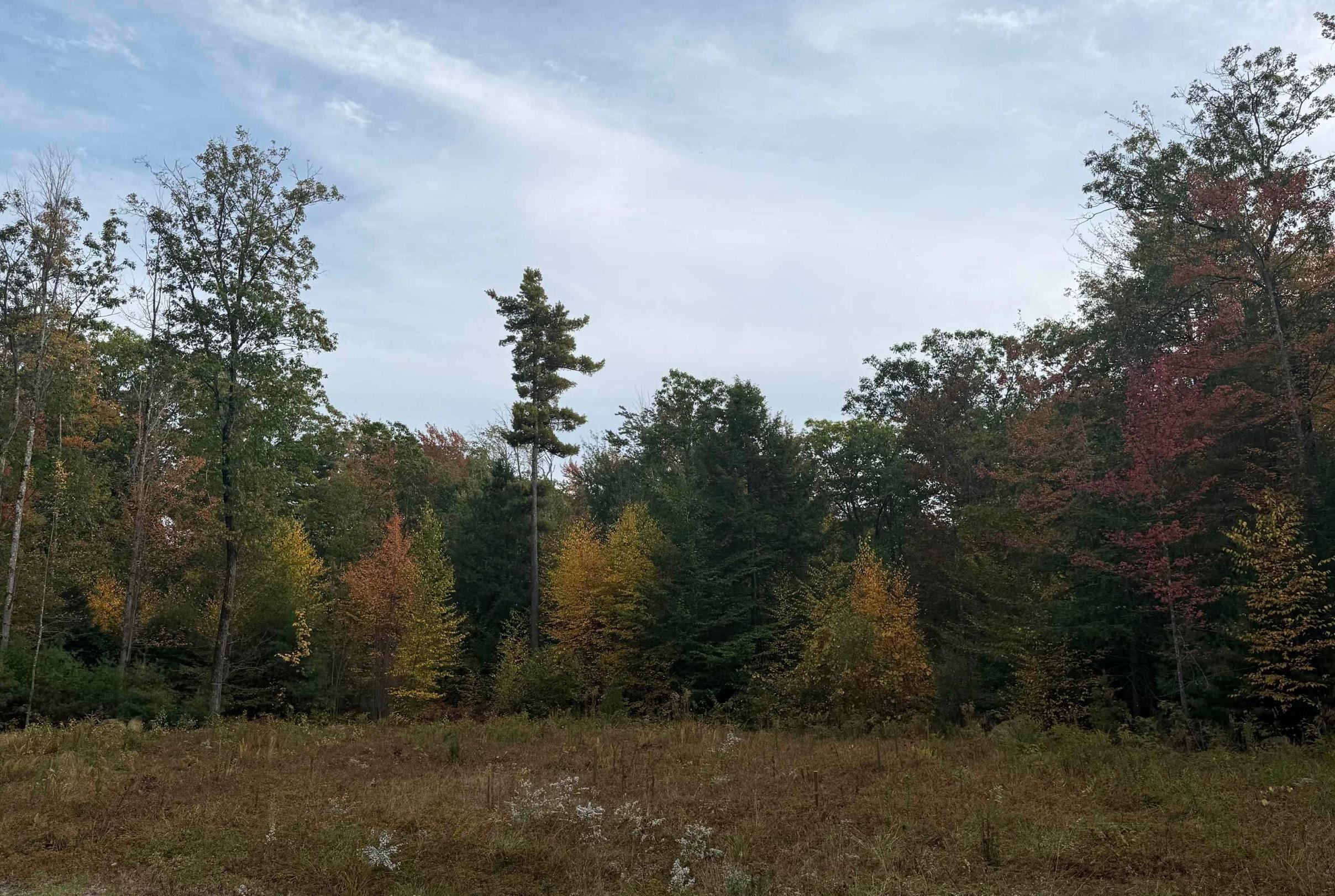 Homes for sale in Francestown, NH | 1195 Bennington Rd, Francestown, NH 03043 | MLS# 5078542