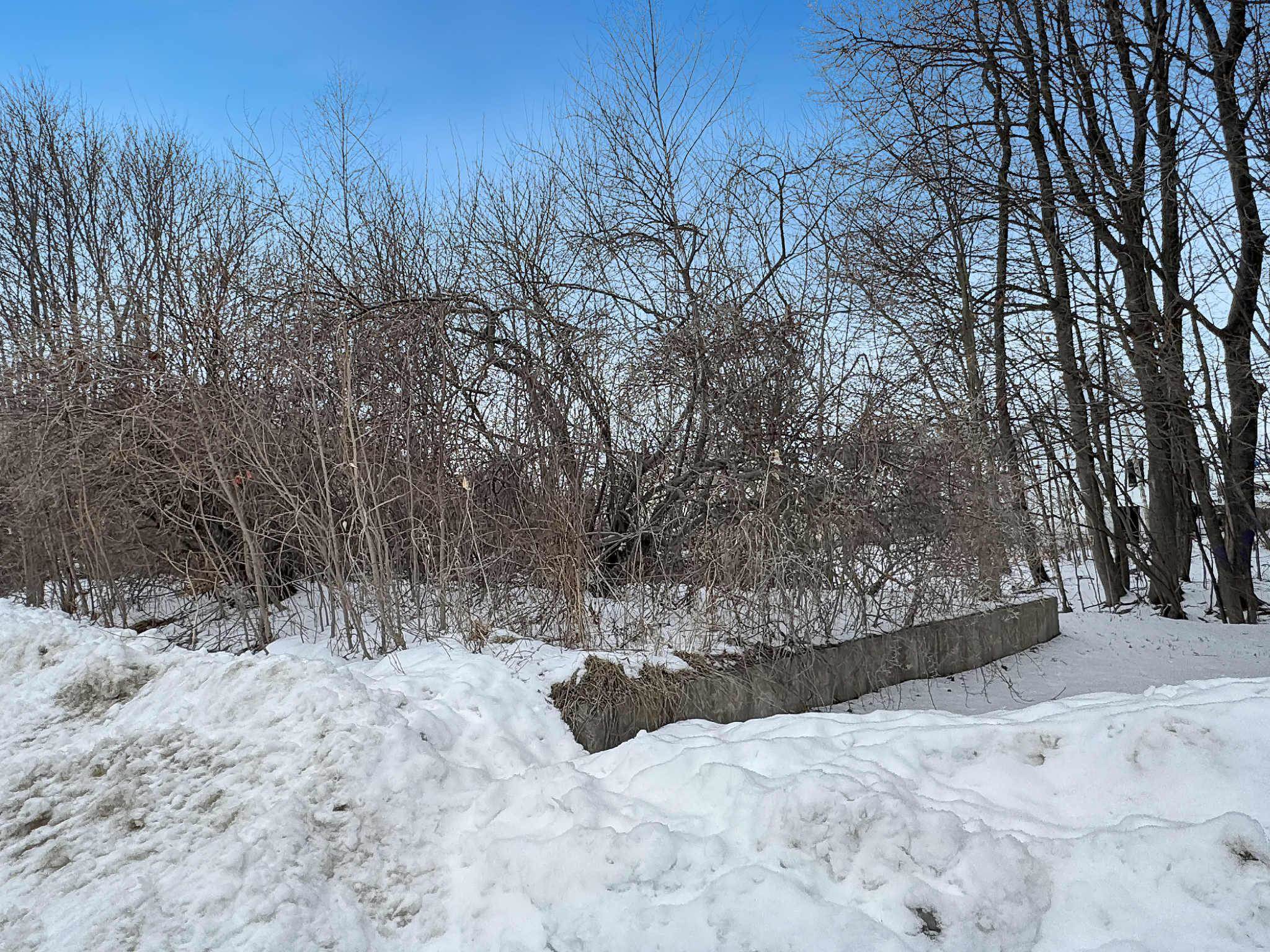 5-16 Butler St, Hillsborough, NH 03244