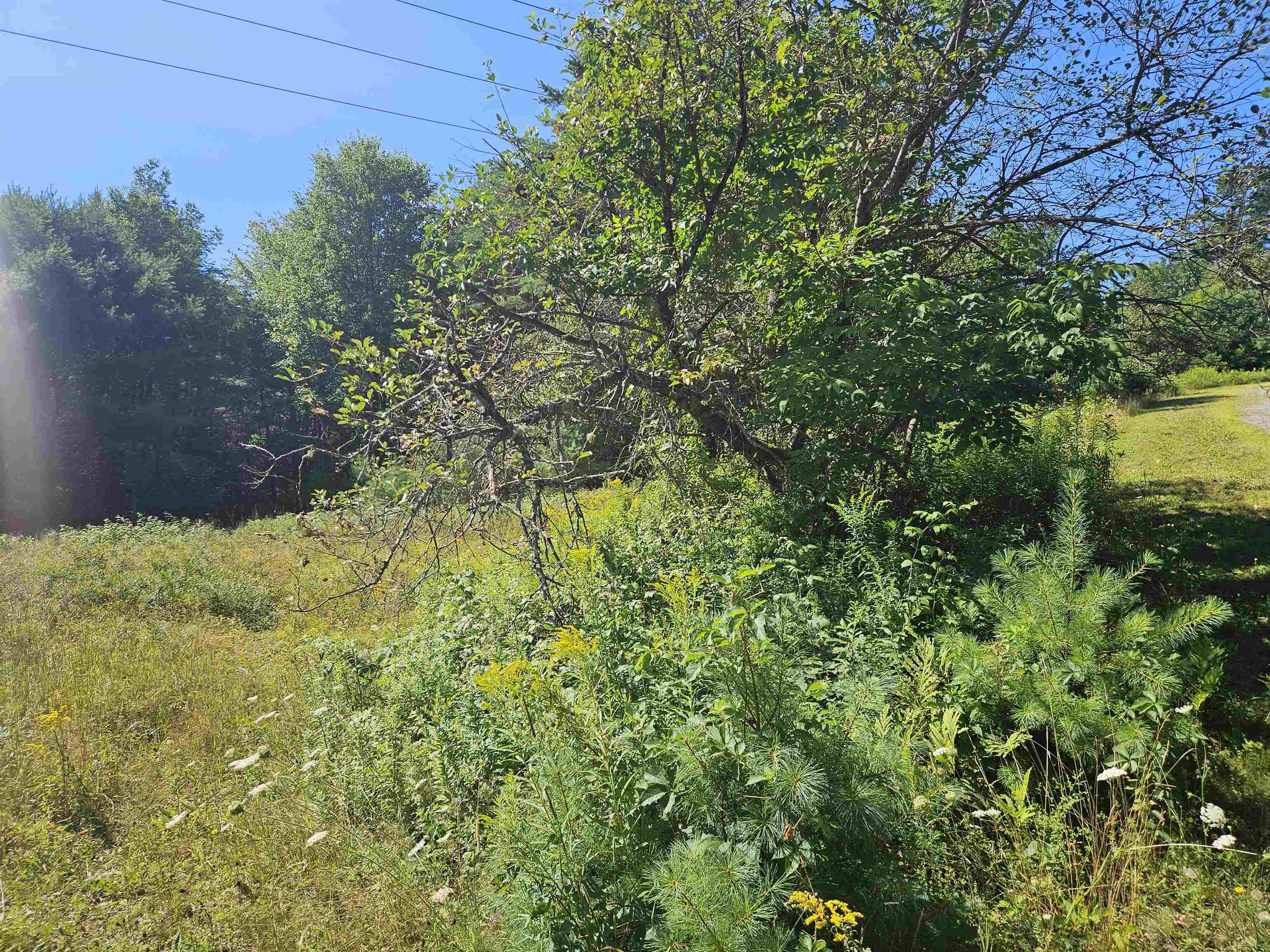 Lot 3.1 Off Parker Rd, Lisbon, NH 03585