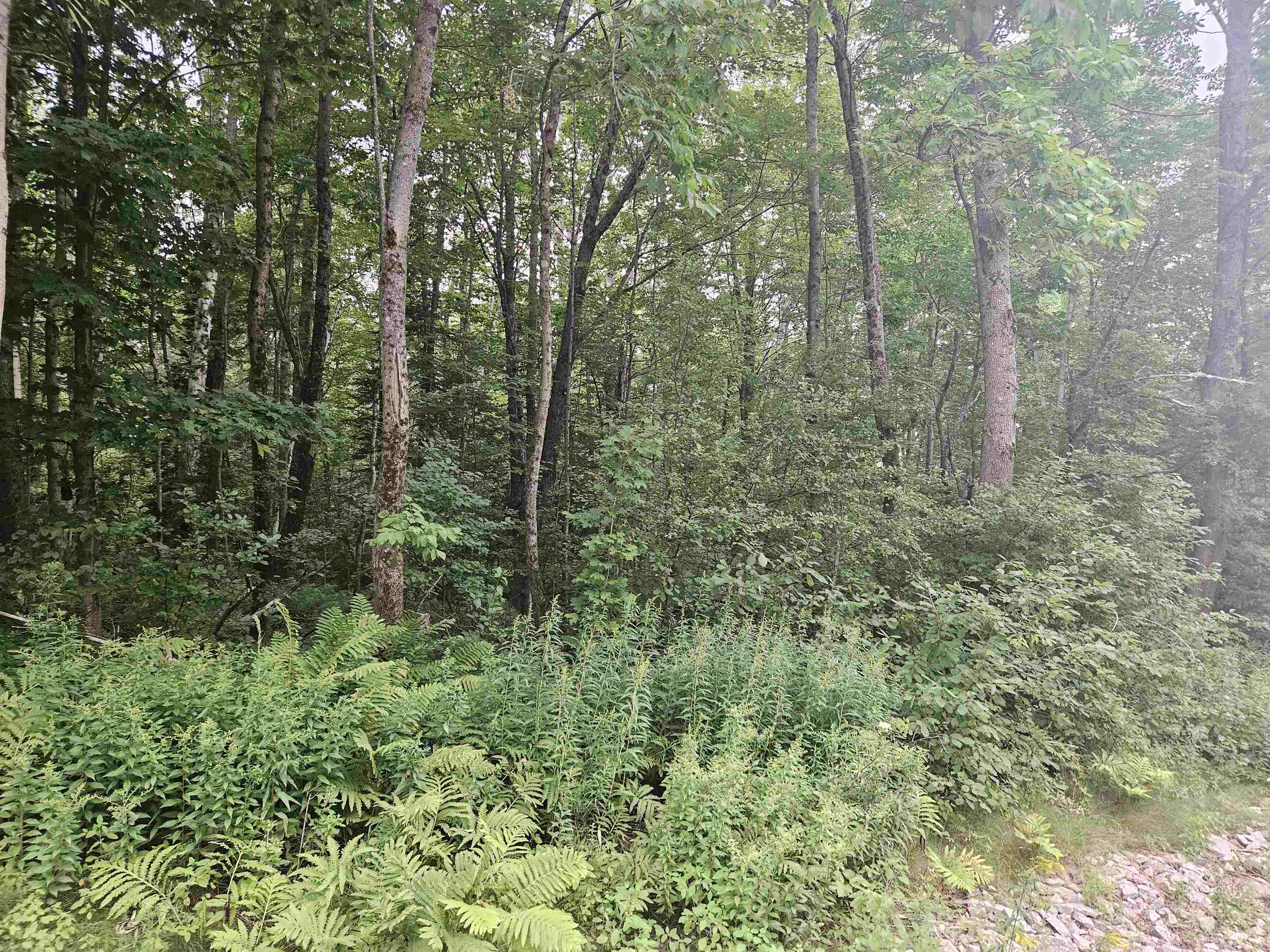 Lot 3.1 Off Parker Rd, Lisbon, NH 03585