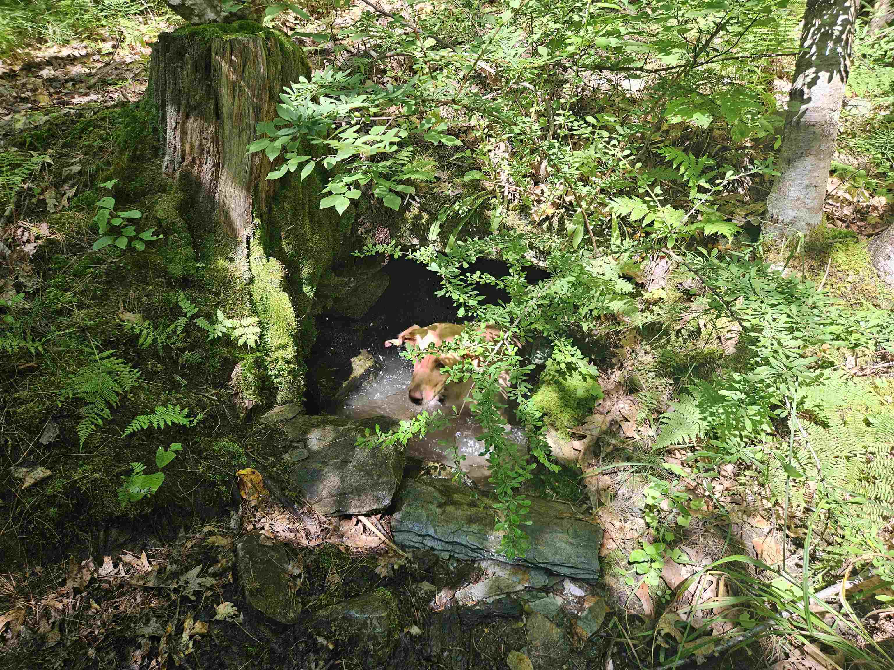 Lot 3.2 Off Parker Rd, Lisbon, NH 03585