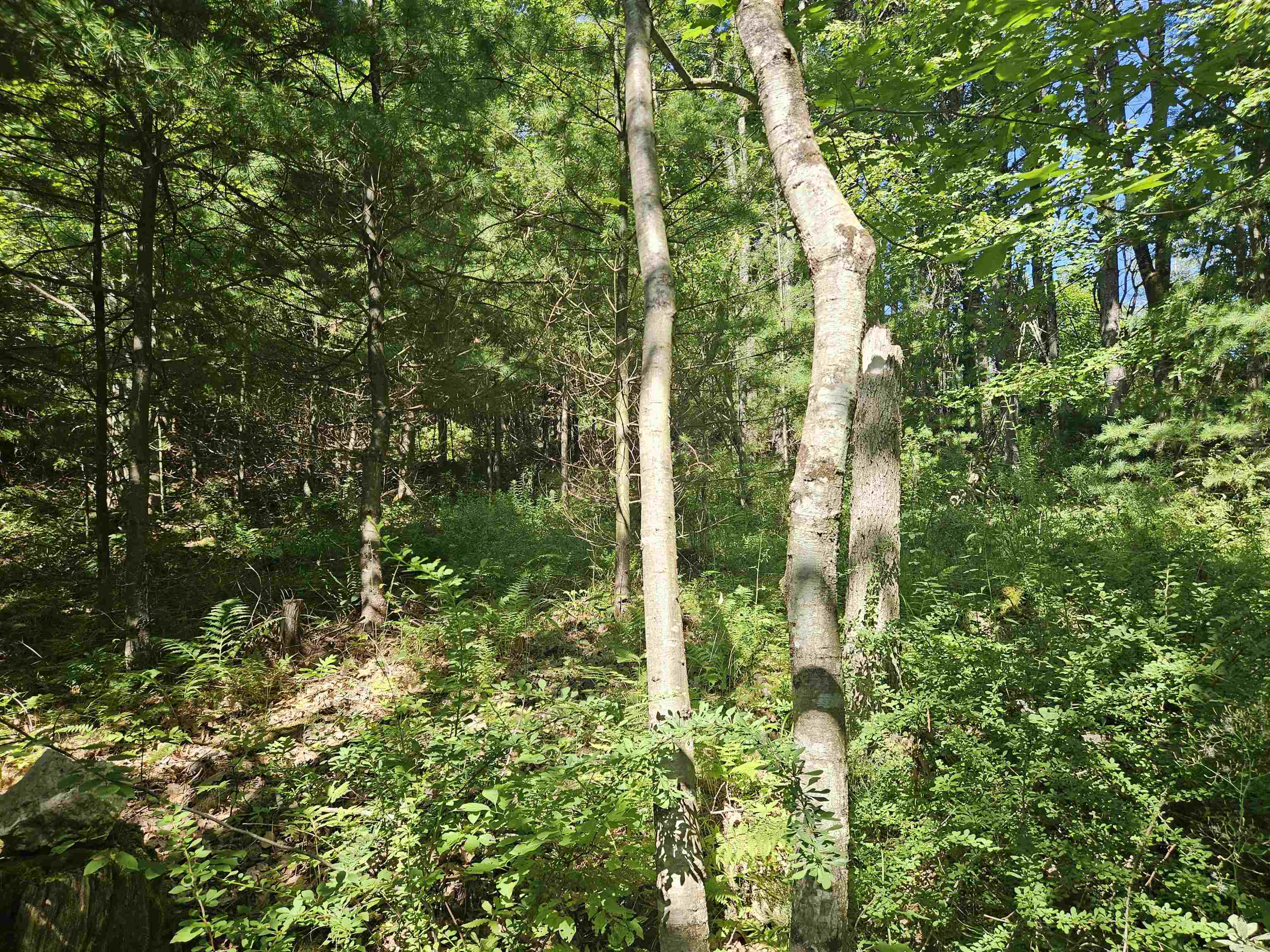 Lot 3.2 Off Parker Rd, Lisbon, NH 03585