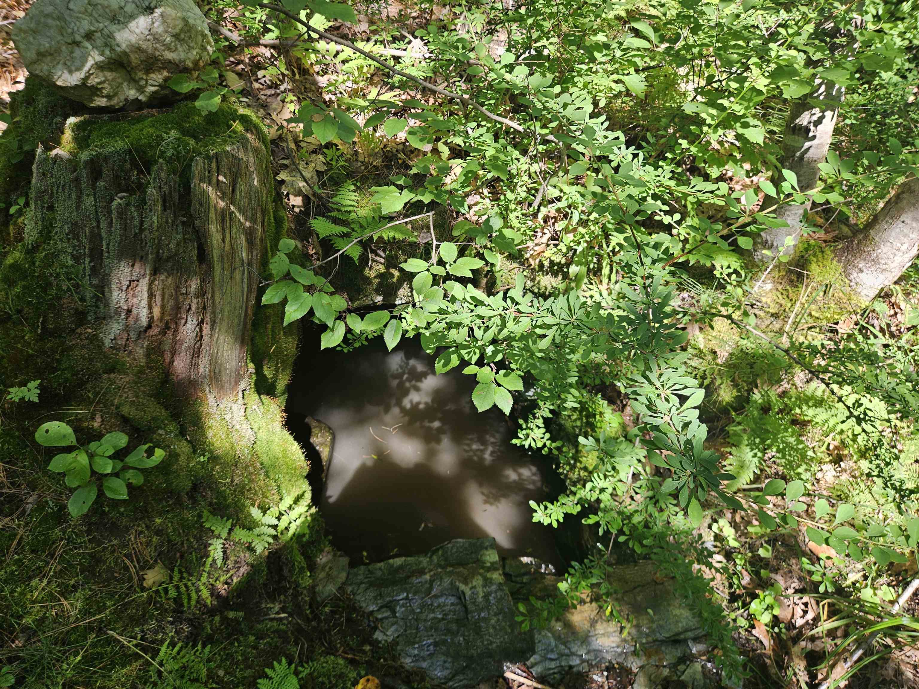 Lot 3.2 Off Parker Rd, Lisbon, NH 03585