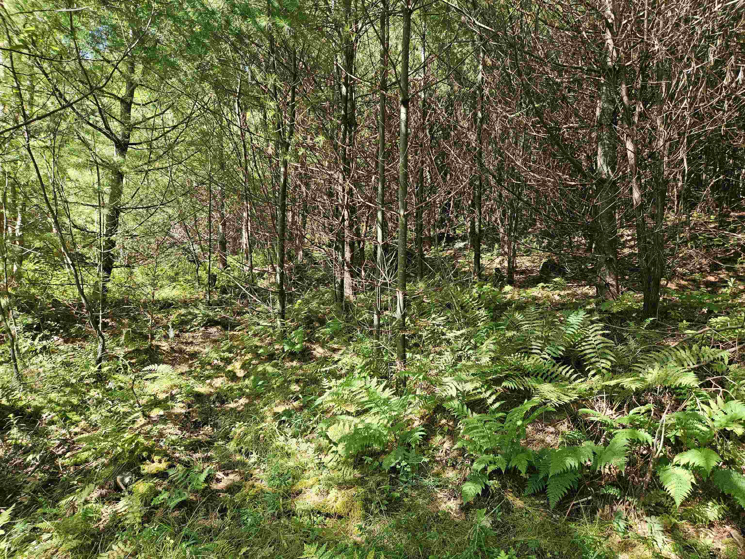 Lot 3.2 Off Parker Rd, Lisbon, NH 03585