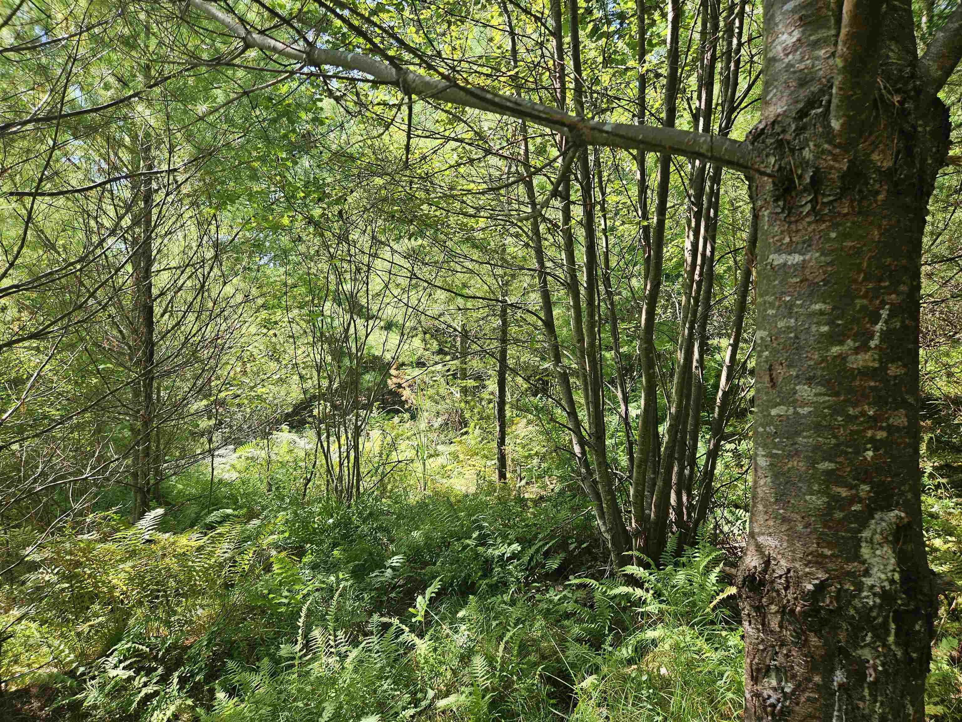 Lot 3.2 Off Parker Rd, Lisbon, NH 03585