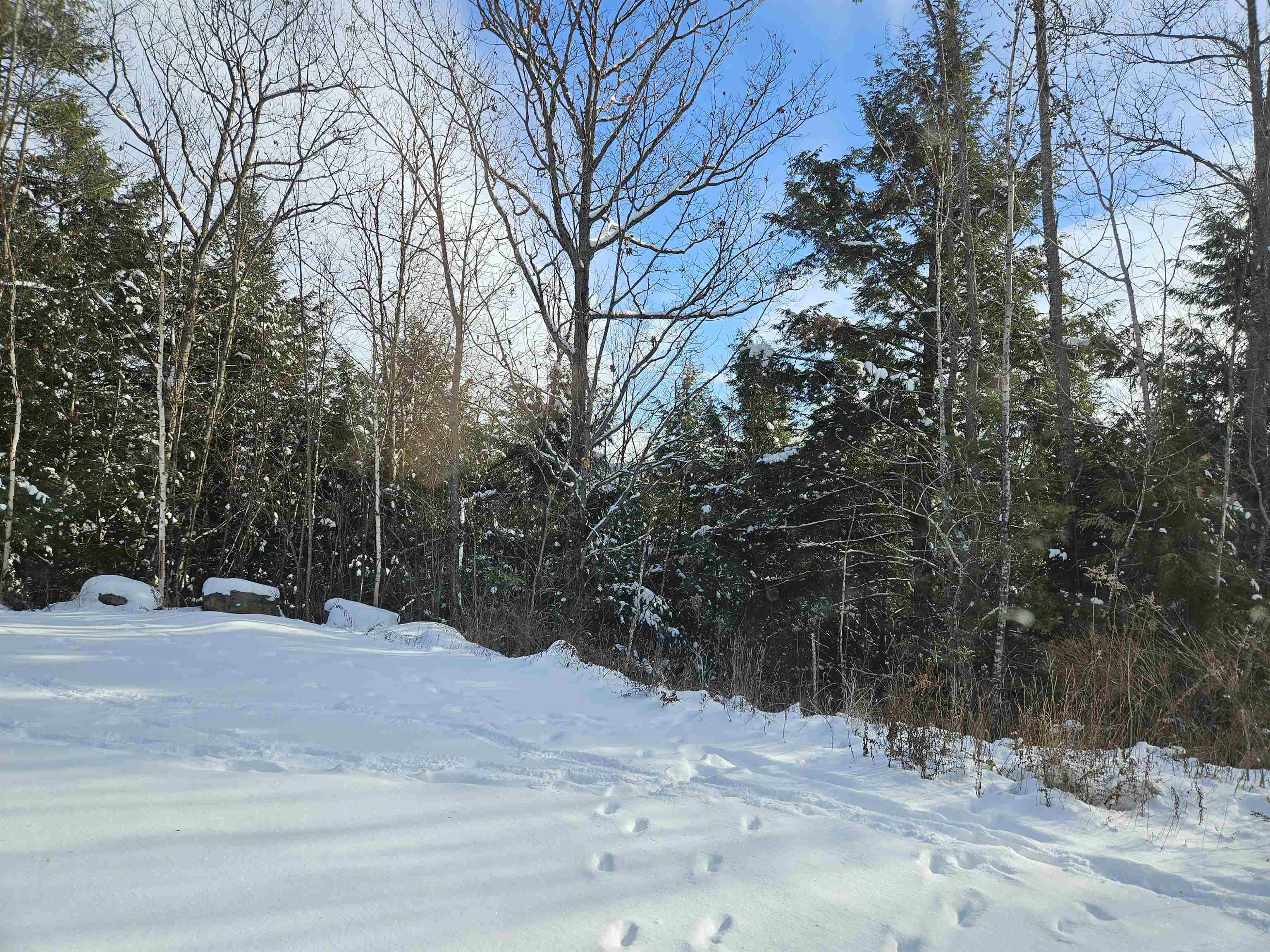 Lot 3.3 Off Parker Rd, Lisbon, NH 03585