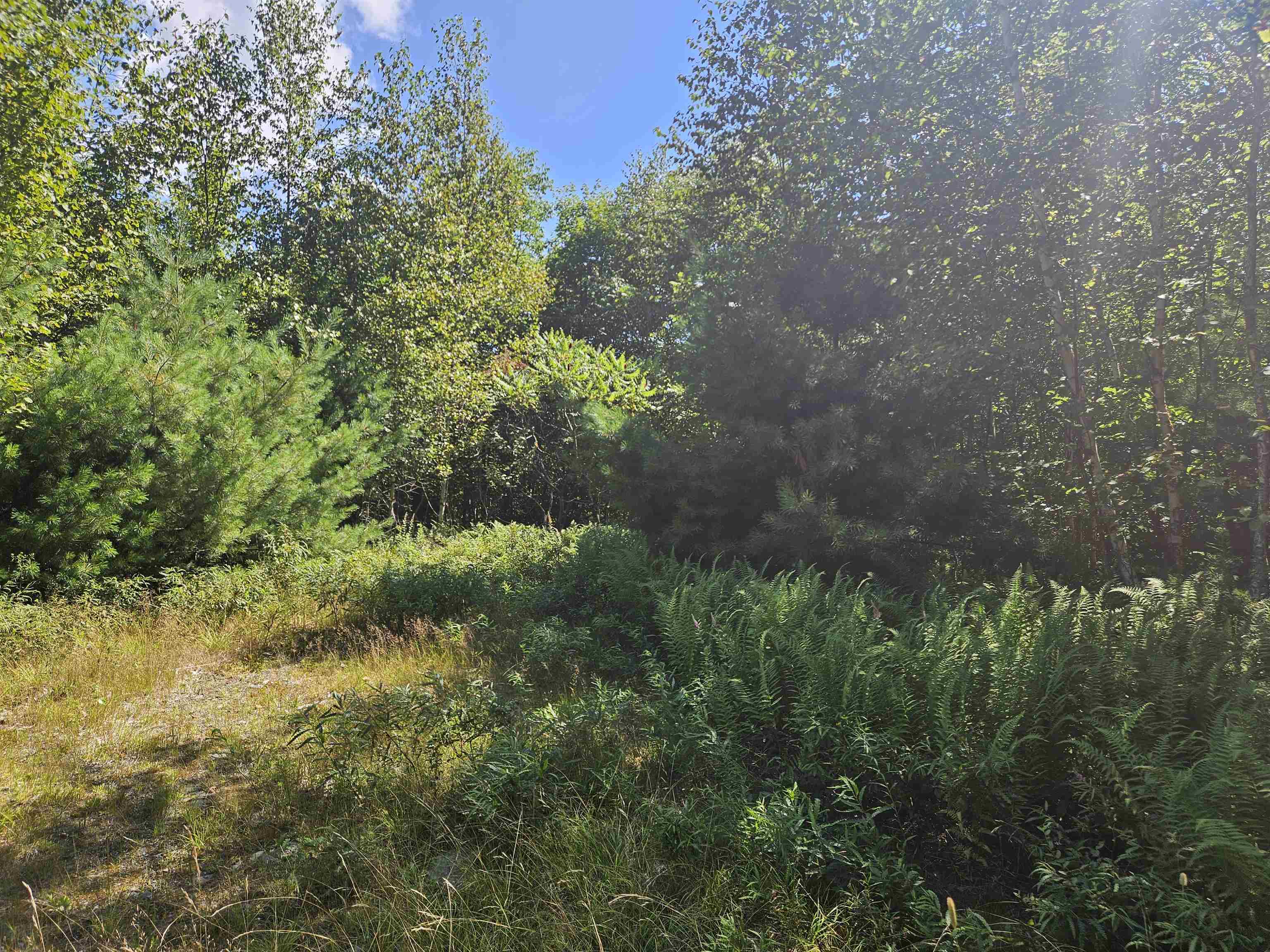 Lot 3.3 Off Parker Rd, Lisbon, NH 03585