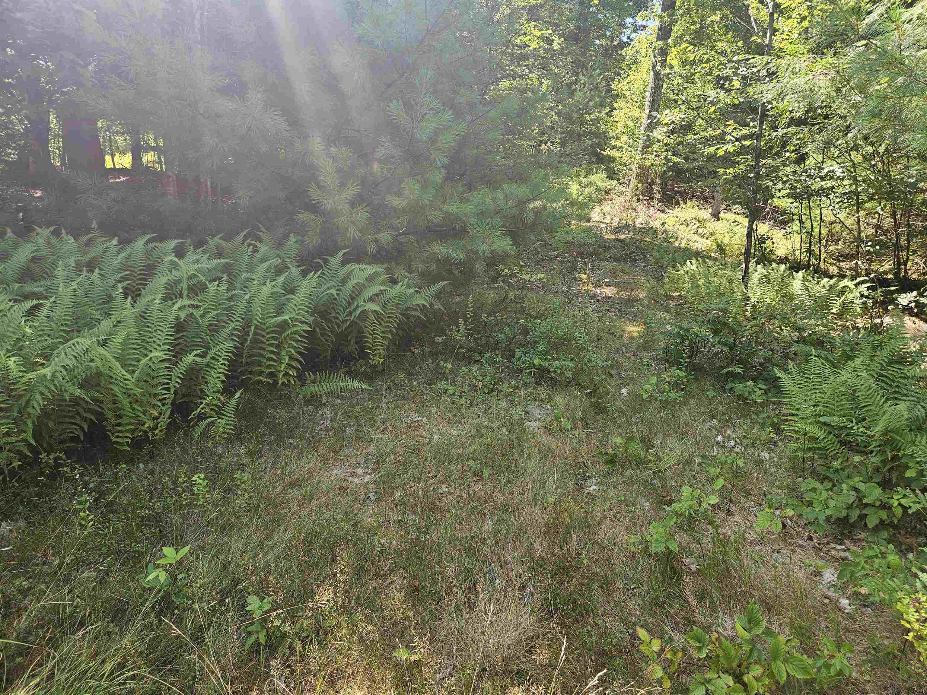 Lot 3.3 Off Parker Rd, Lisbon, NH 03585