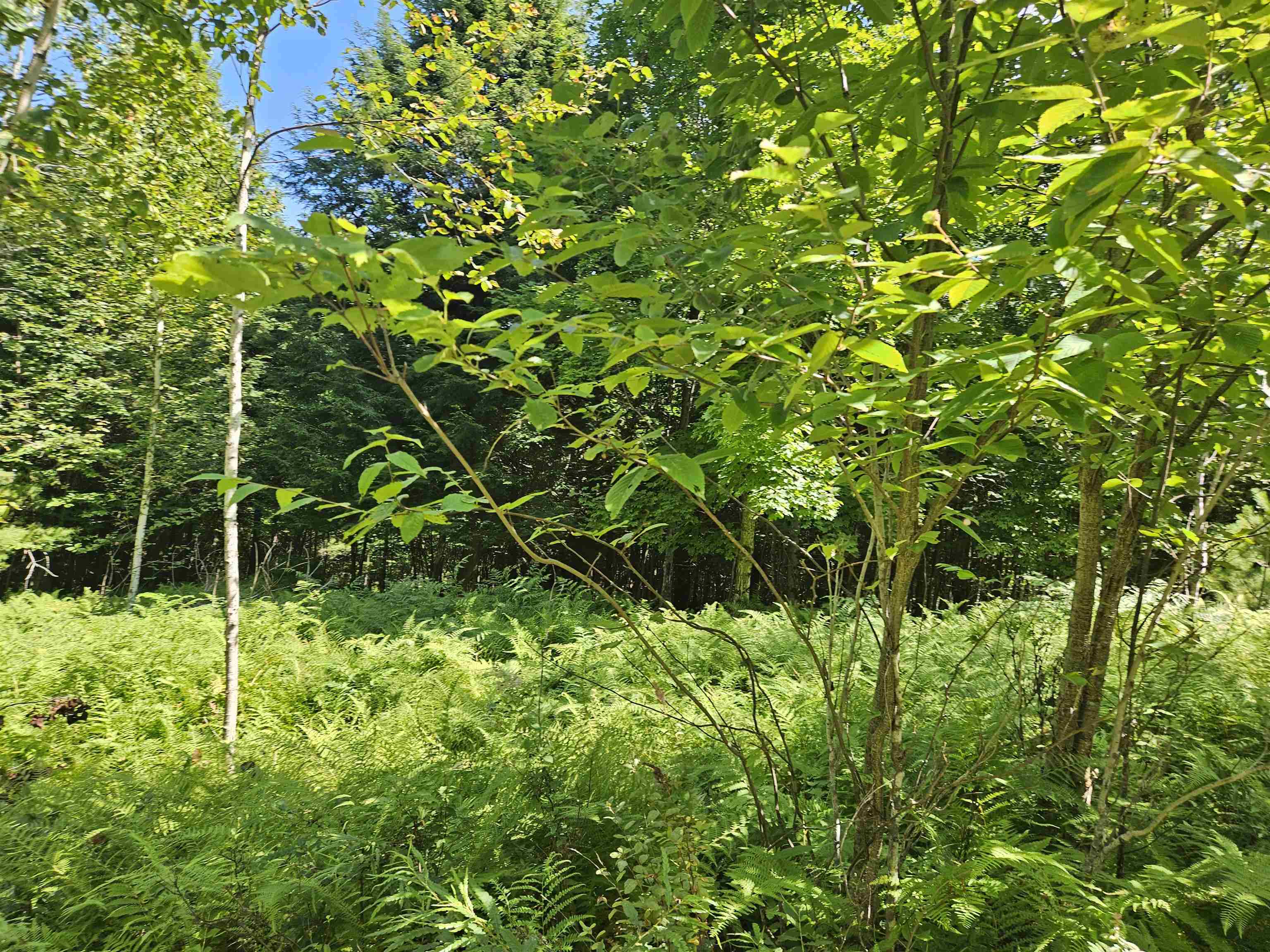 Lot 3.3 Off Parker Rd, Lisbon, NH 03585