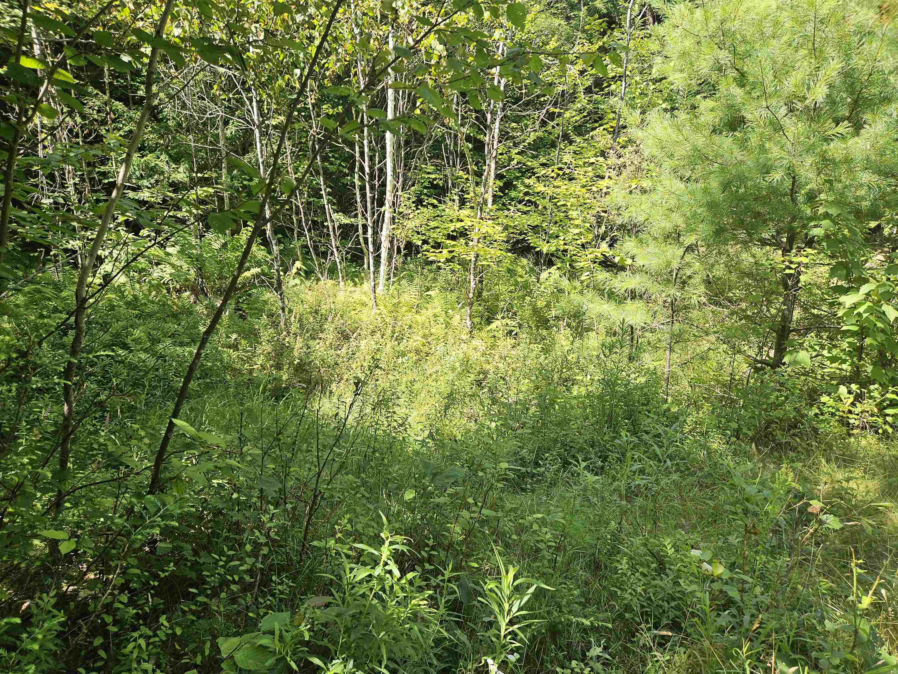 Lot 3.3 Off Parker Rd, Lisbon, NH 03585