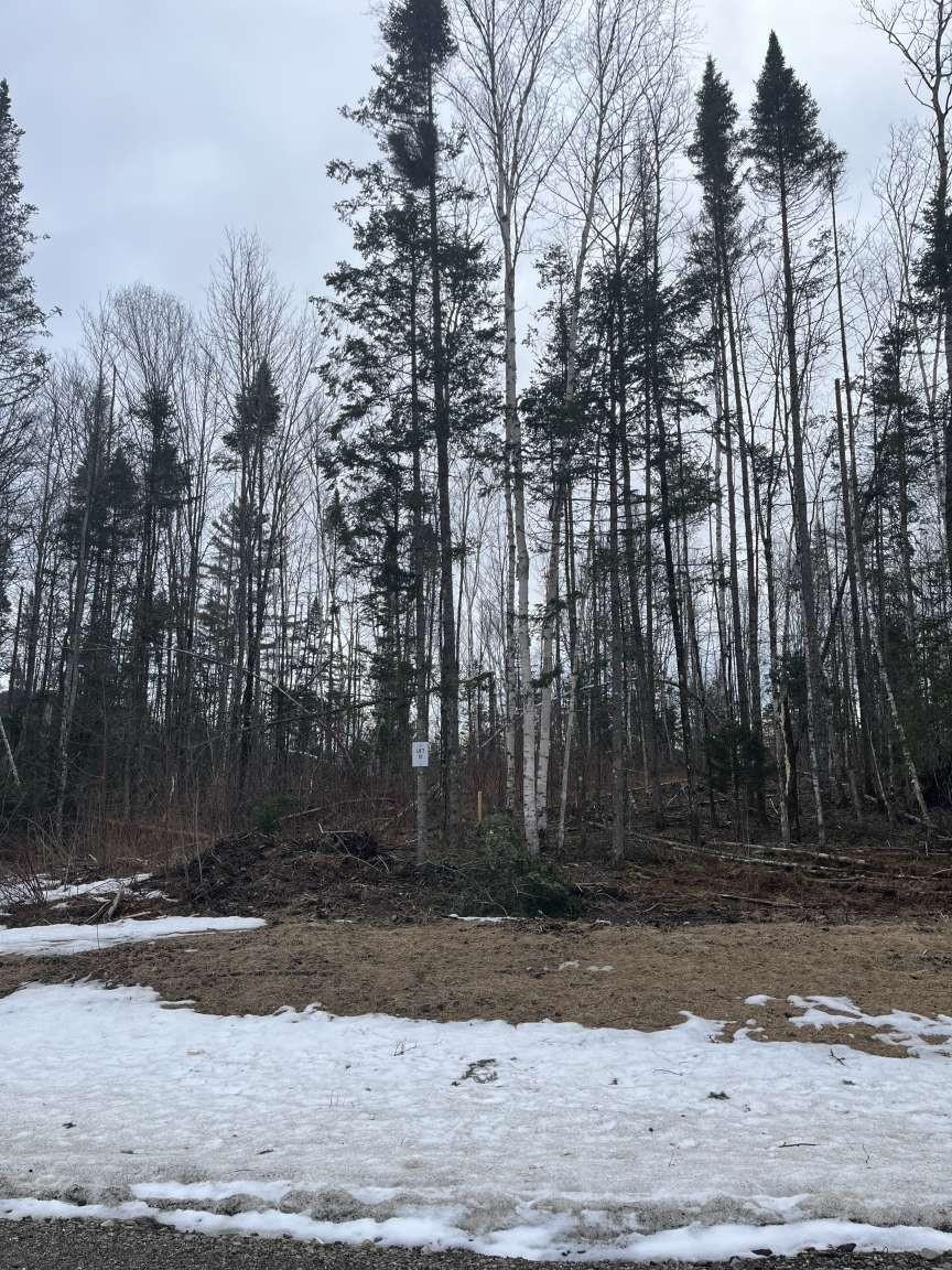 Lot 10 Us Rte 3, Stratford, NH 03590