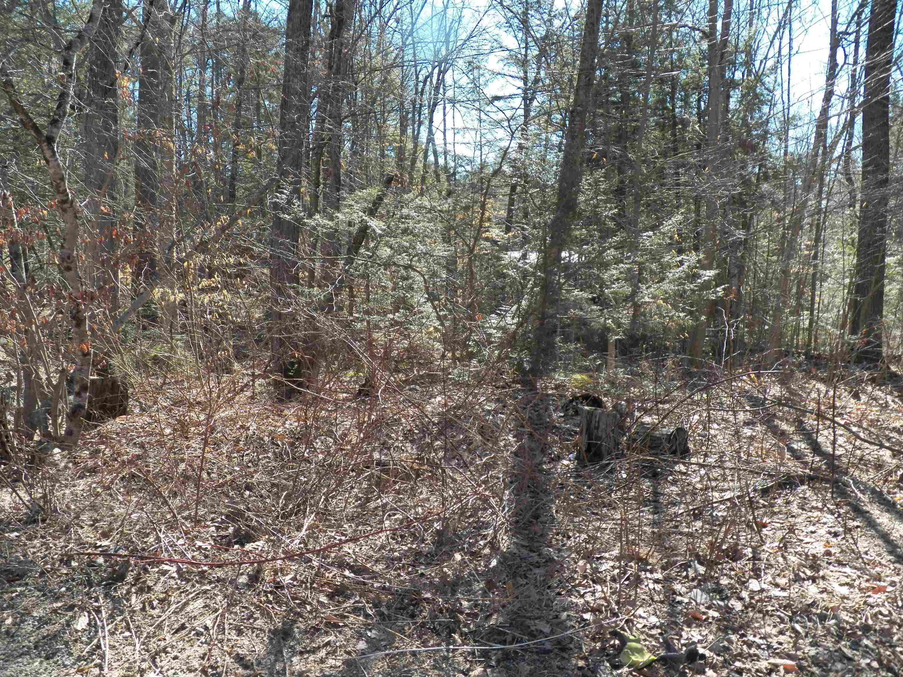 14-194 Seminole Rd, Hillsborough, NH 03244