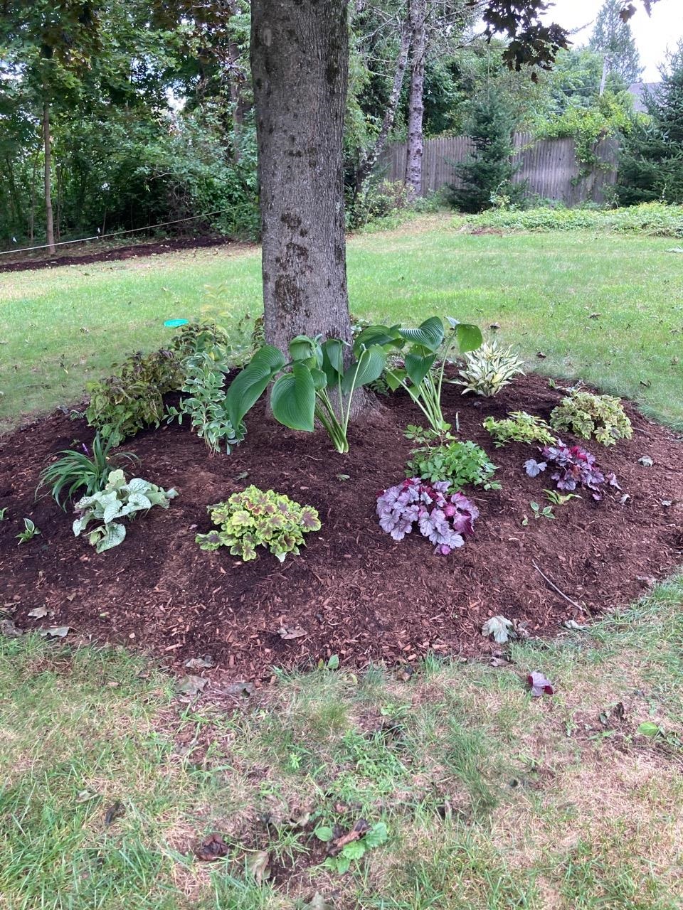 10 Autumn St, Goffstown, NH 03045