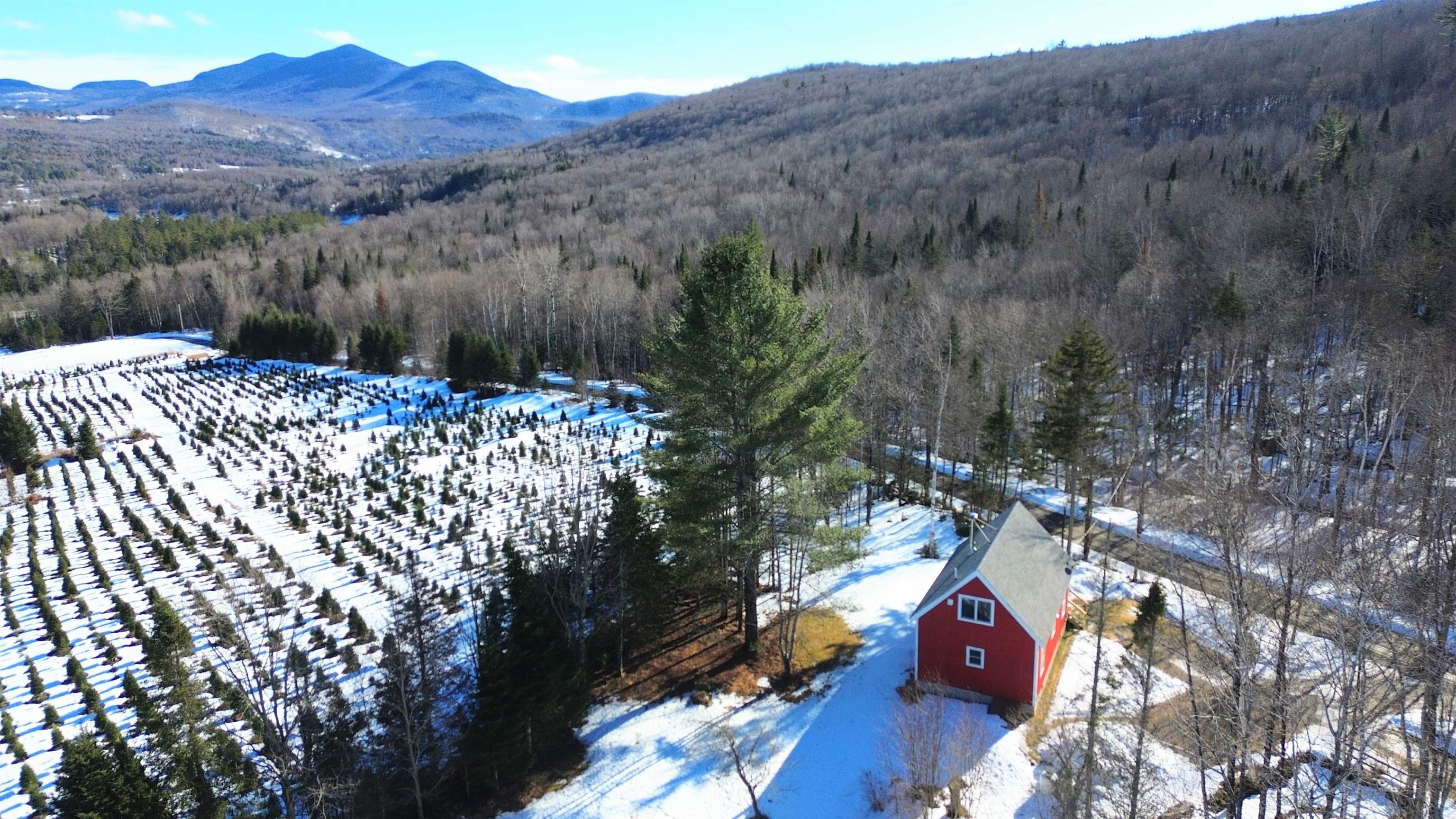   Click for more details  