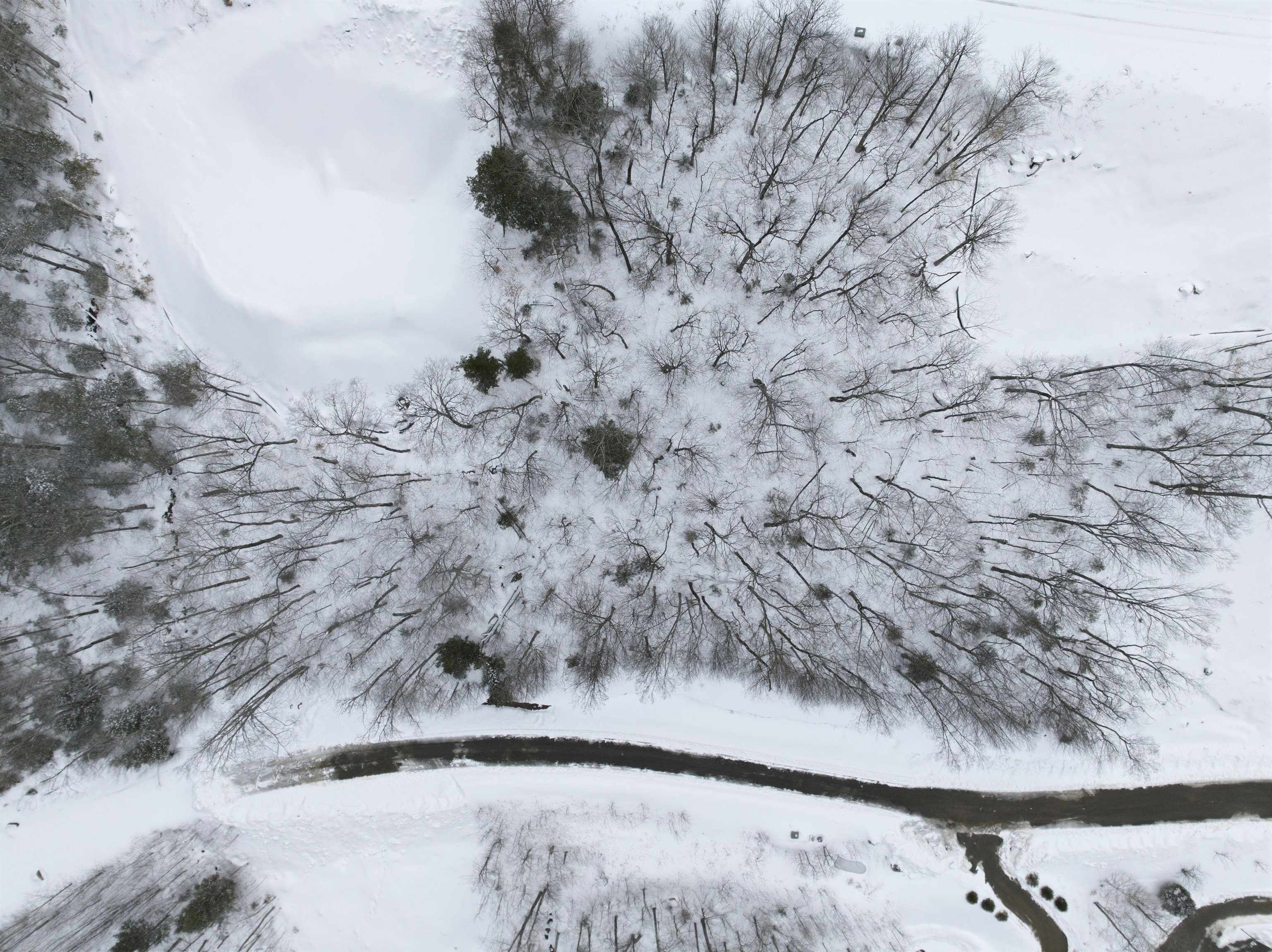 8 Buck Rd, Lincoln, NH 03251