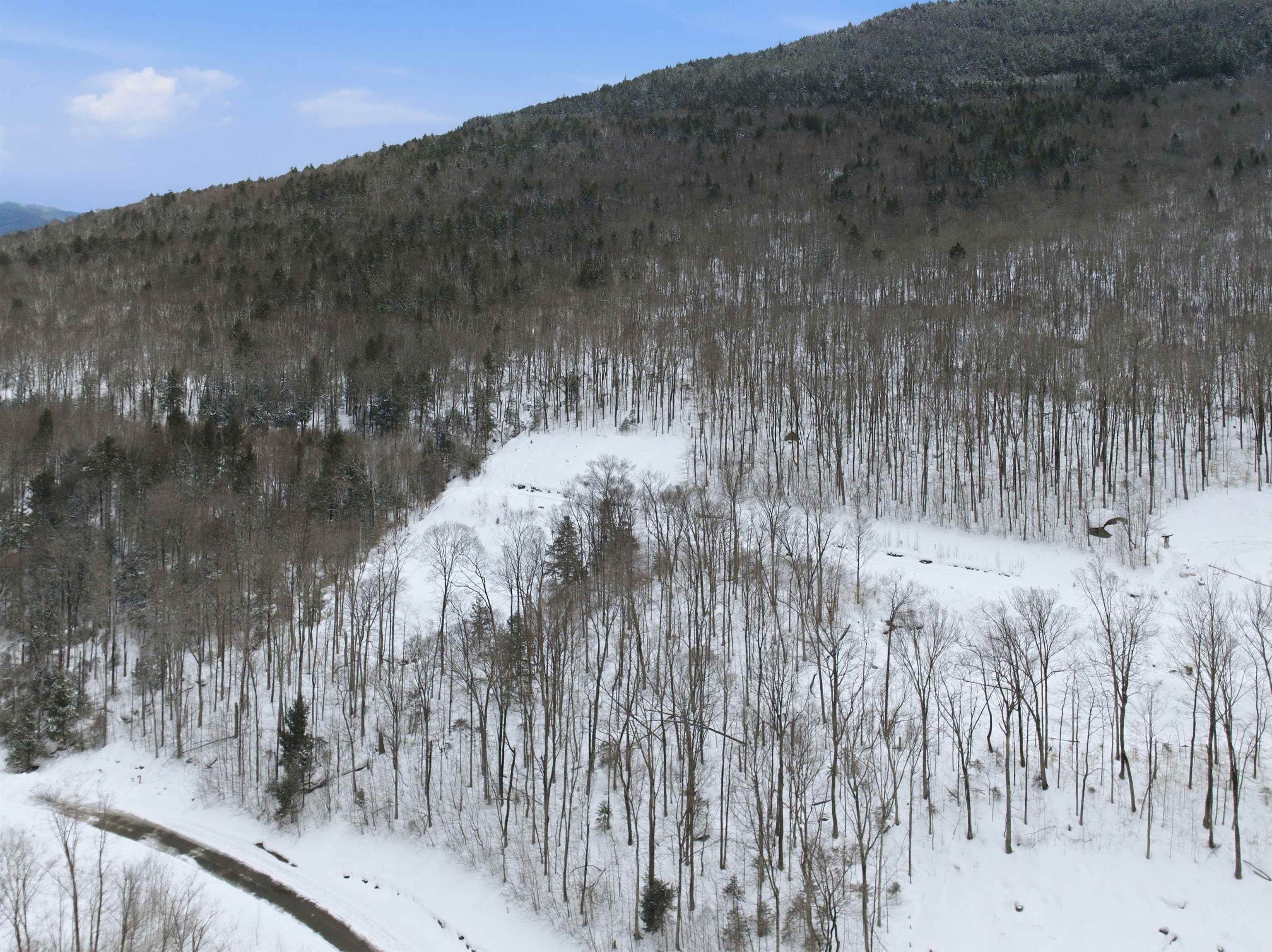 8 Buck Rd, Lincoln, NH 03251