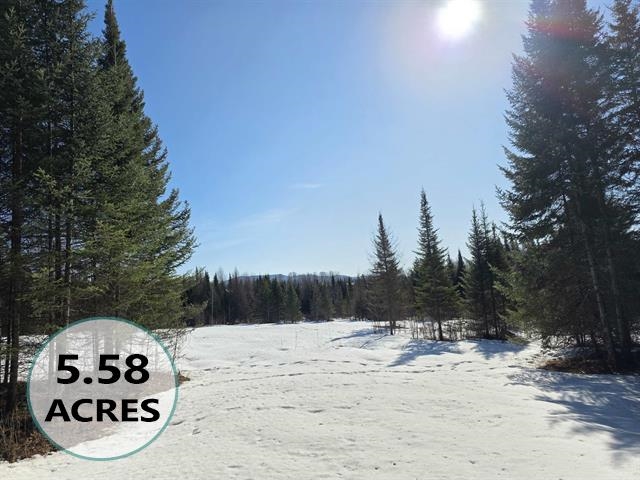 Homes for sale in Lyndon, VT | 00 Old Coach Rd, Lyndon, VT 05851 | MLS# 5078726