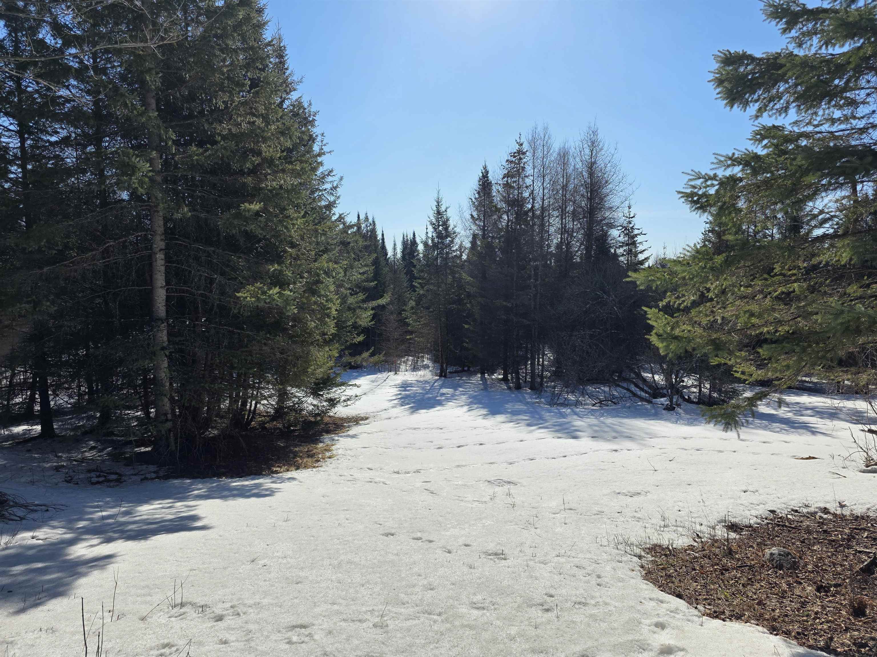 Homes for sale in Lyndon, VT | 00 Old Coach Rd, Lyndon, VT 05851 | MLS# 5078726