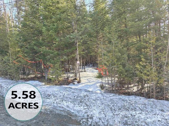 Homes for sale in Lyndon, VT | 000 Old Coach Rd, Lyndon, VT 05851 | MLS# 5078727