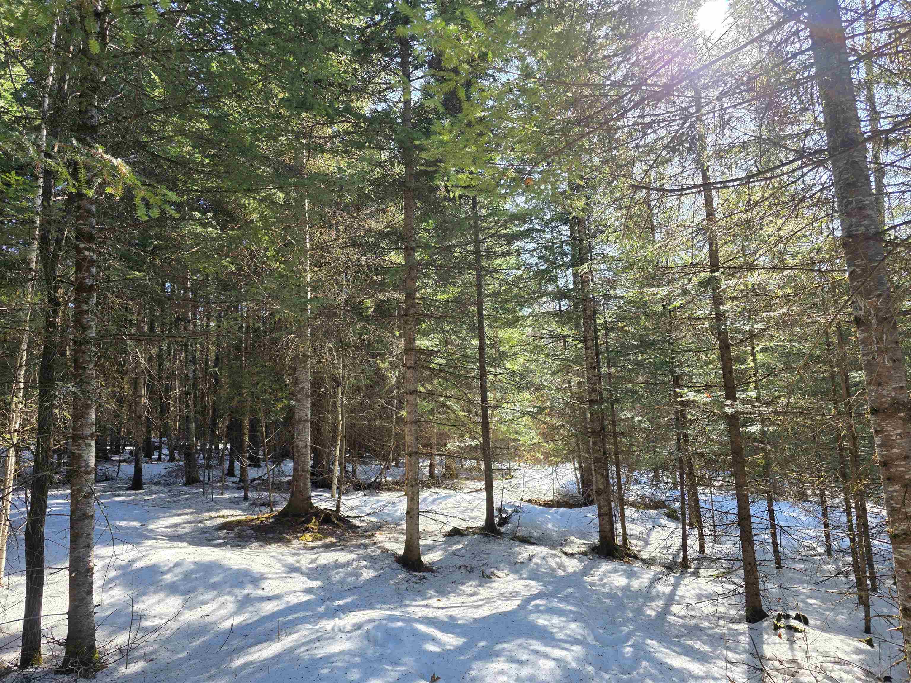 Homes for sale in Lyndon, VT | 000 Old Coach Rd, Lyndon, VT 05851 | MLS# 5078727