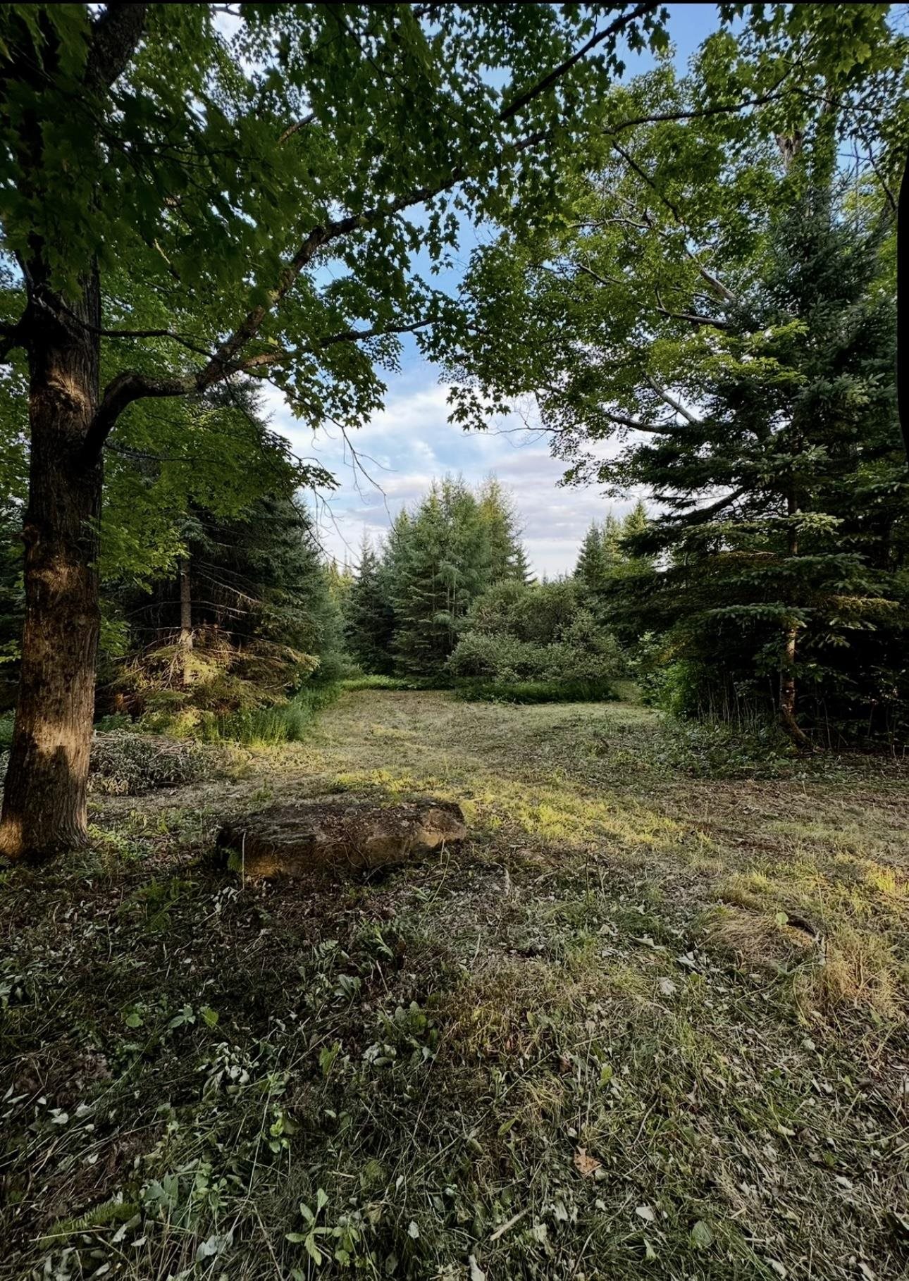 Homes for sale in Lyndon, VT | 000 Old Coach Rd, Lyndon, VT 05851 | MLS# 5078727