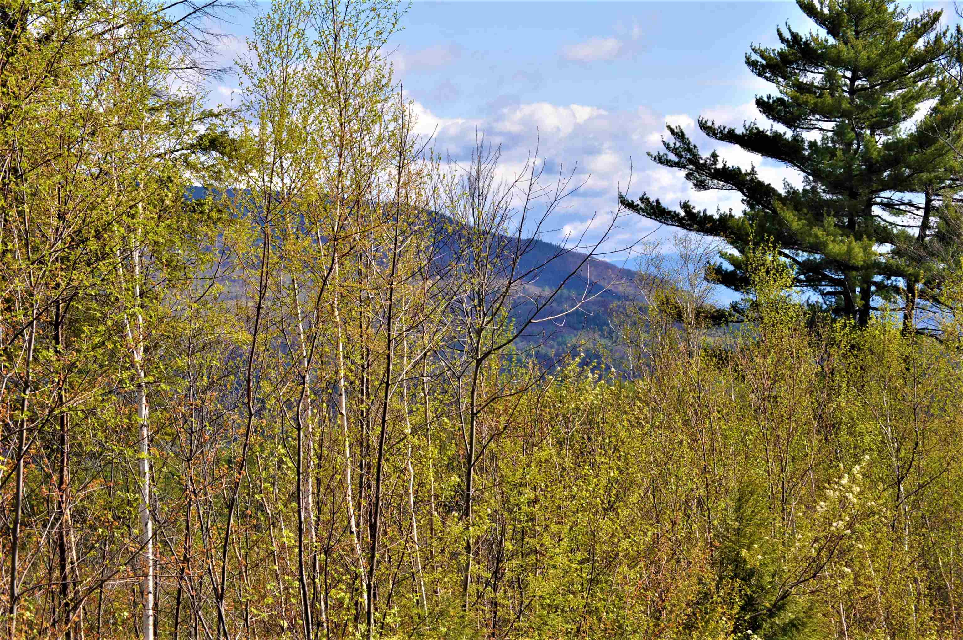 0 High Cliffs Circle And Skyline Dr, Hebron, NH 03241