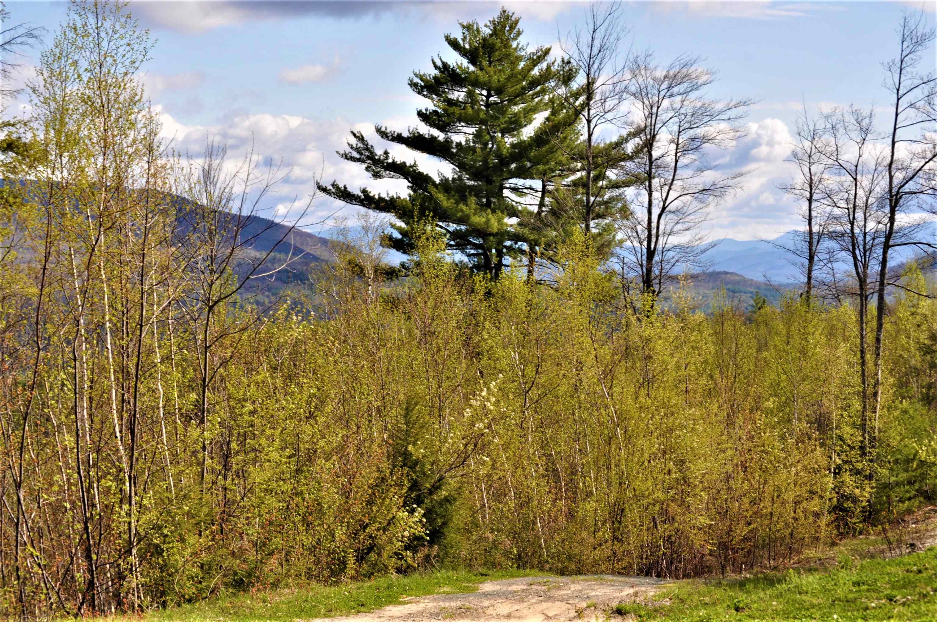 0 High Cliffs Circle And Skyline Dr, Hebron, NH 03241