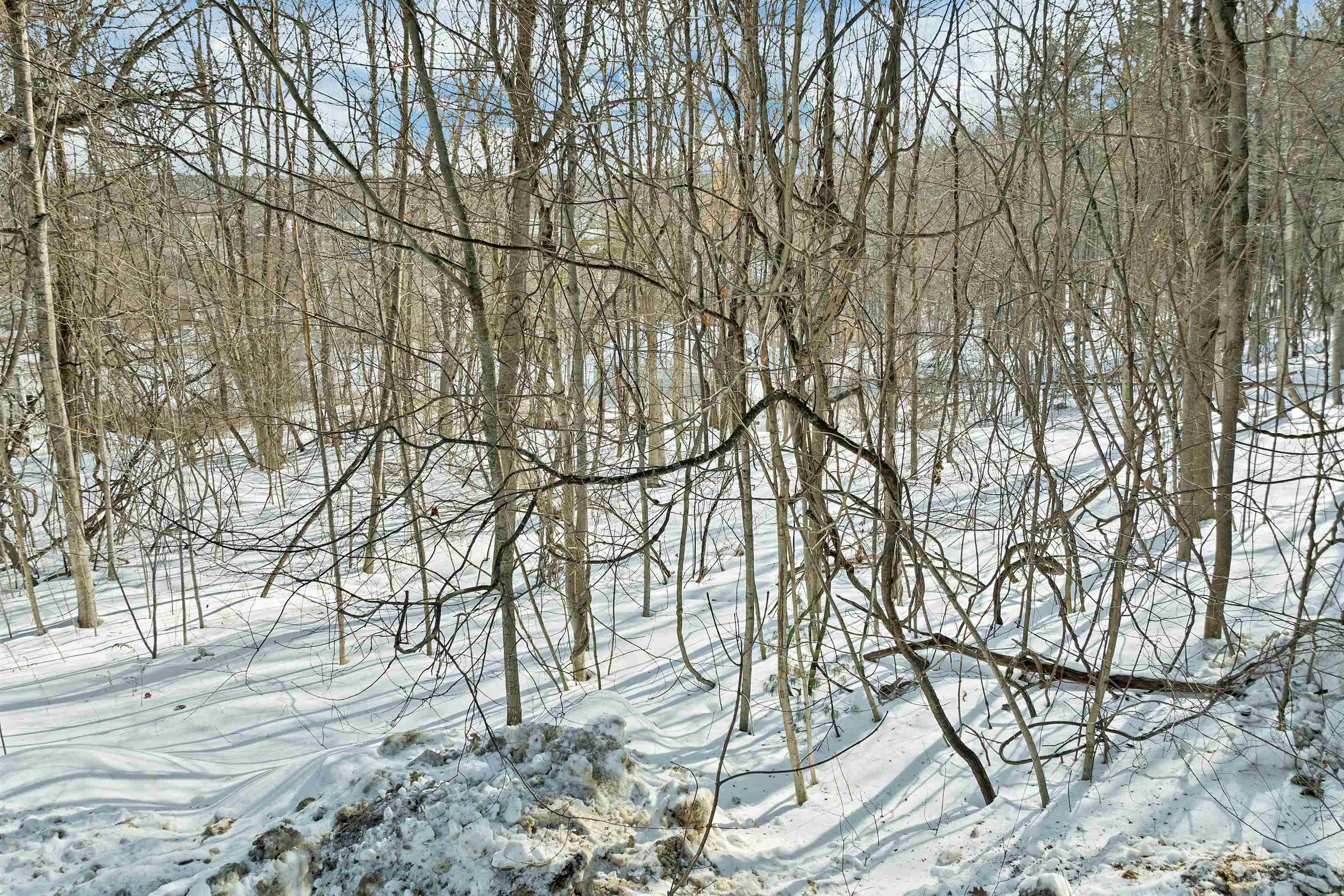 0 Friend St, Wolfeboro, NH 03894