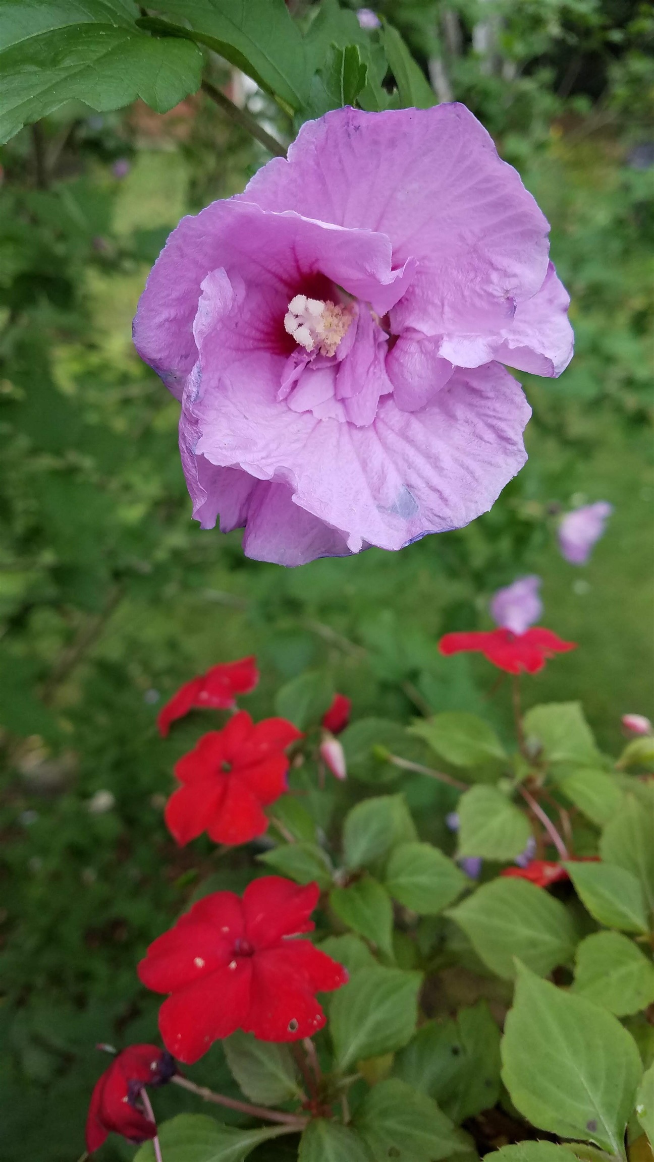 15 Clearview Dr, Bow, NH 03304