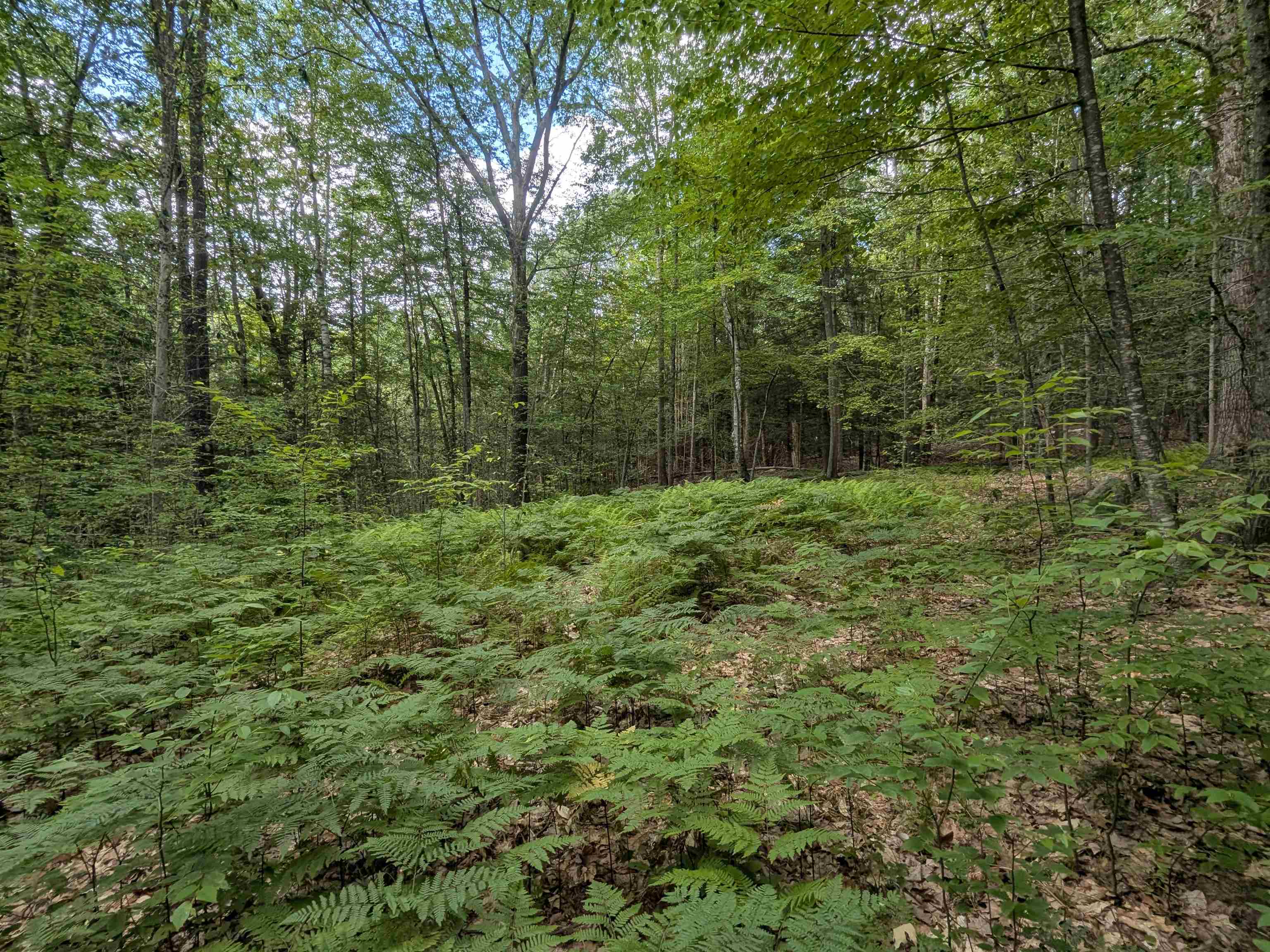 A 66 Burton Hw, Wilton, NH 03086
