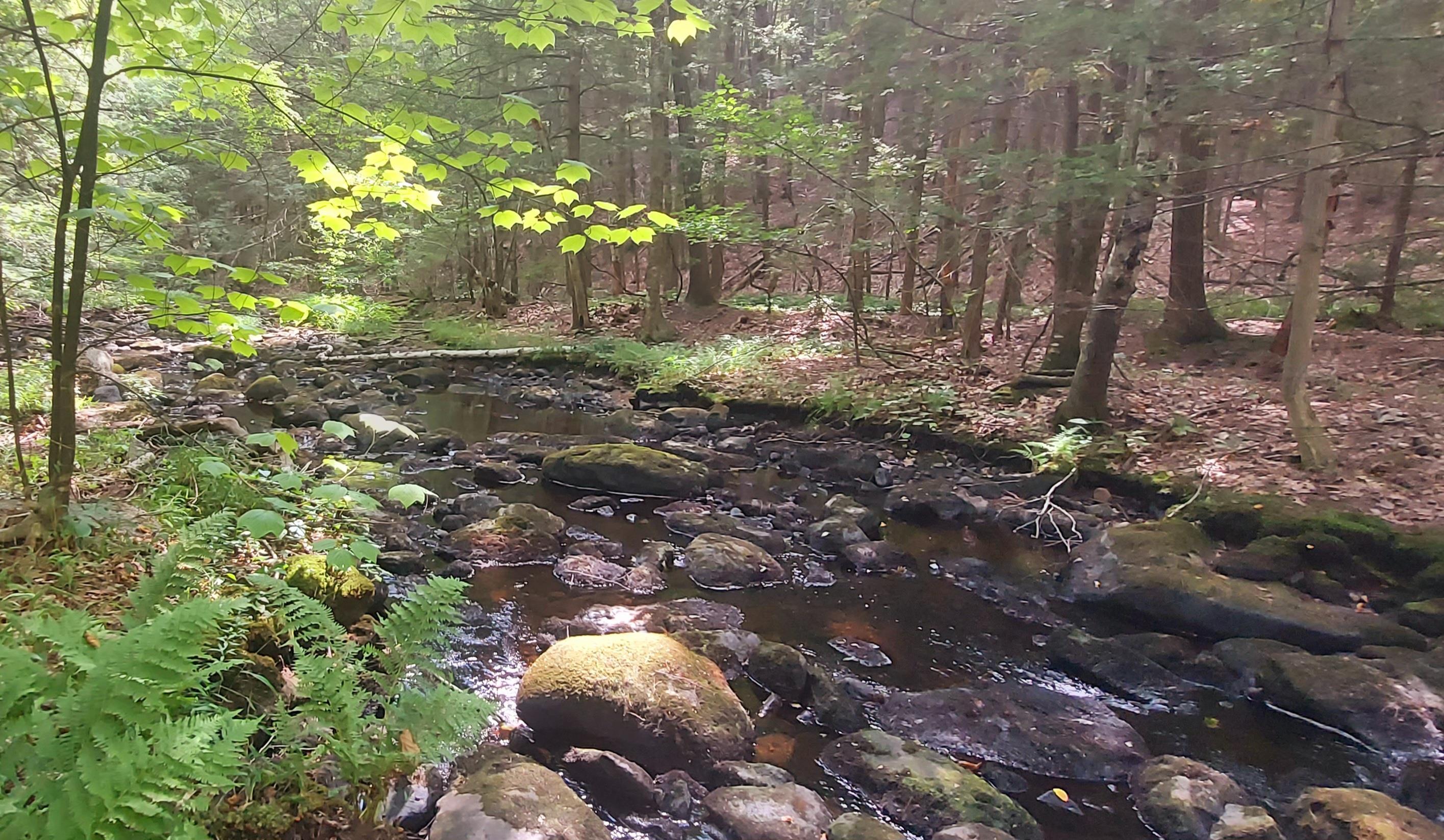 A 66 Burton Hw, Wilton, NH 03086