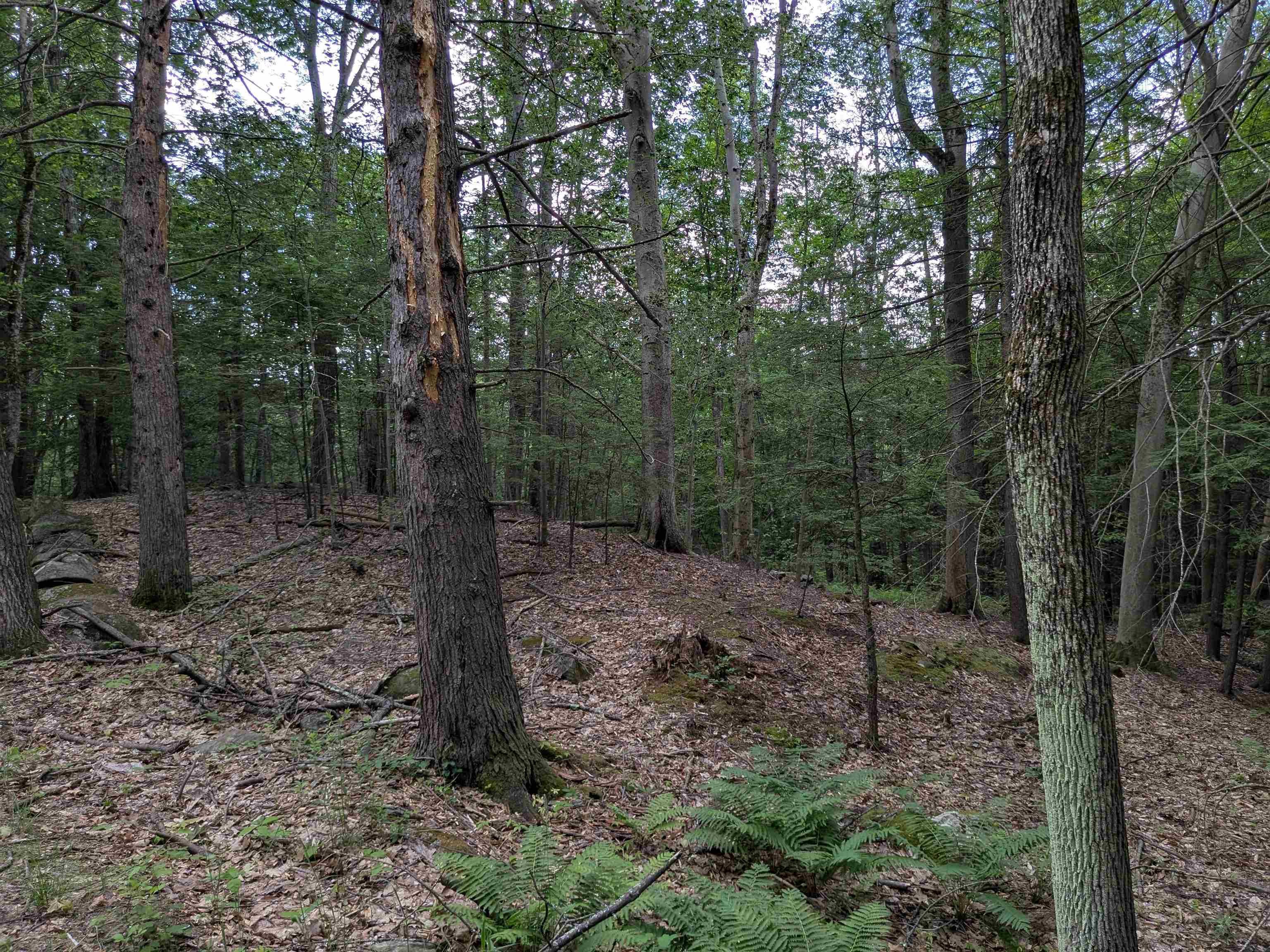 A 66 Burton Hw, Wilton, NH 03086