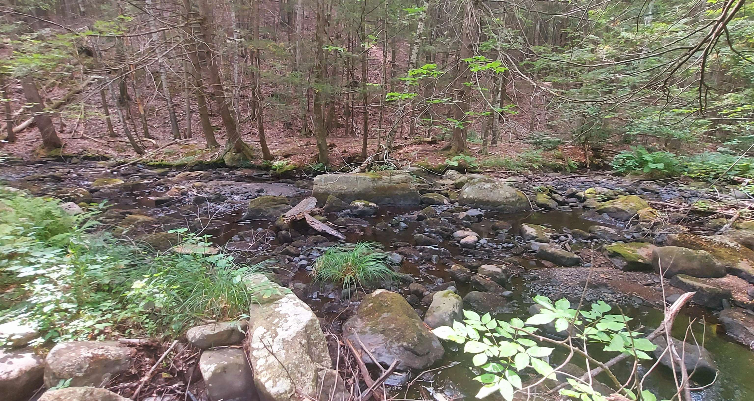 A 66 Burton Hw, Wilton, NH 03086