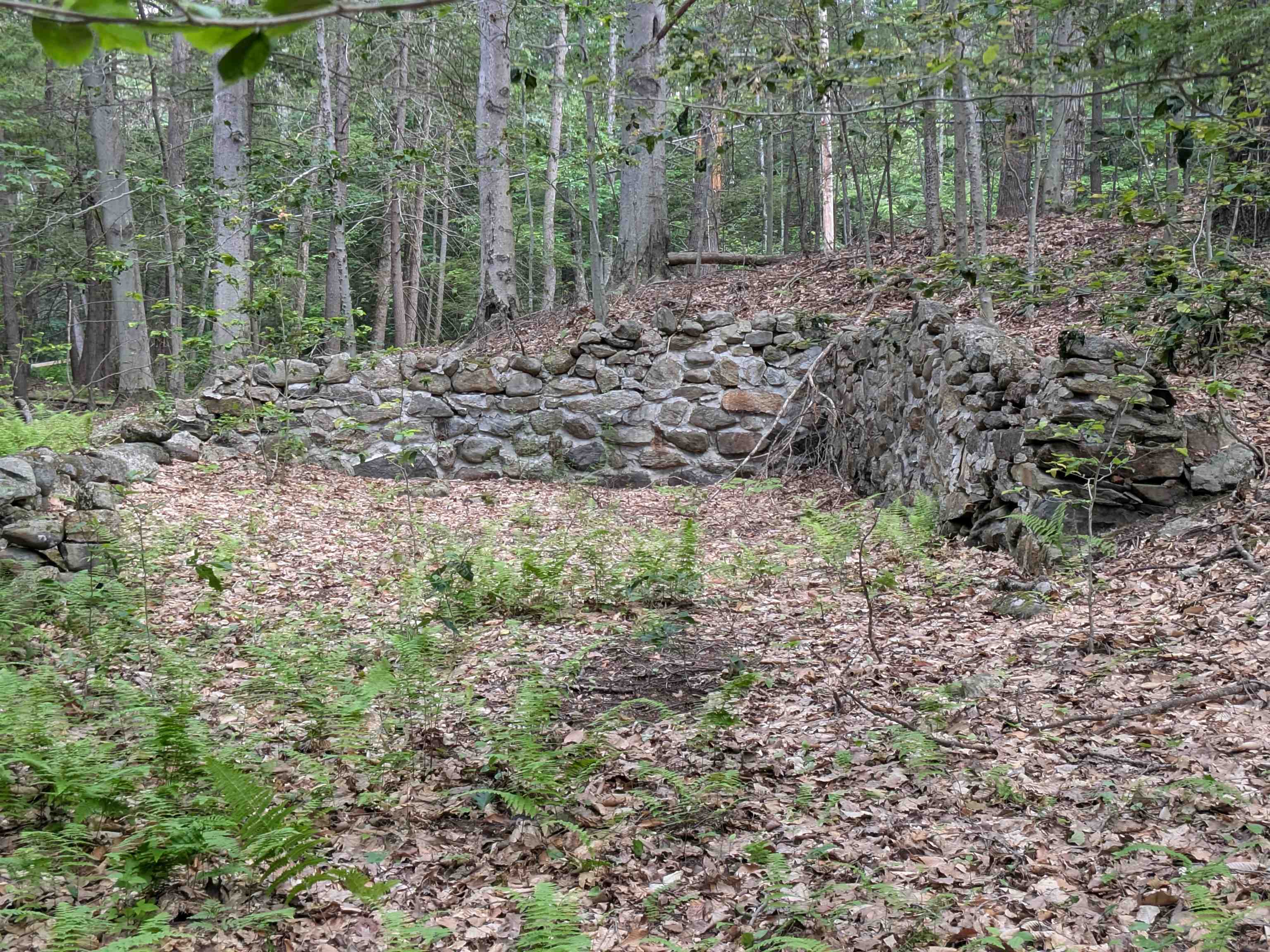 A 66 Burton Hw, Wilton, NH 03086