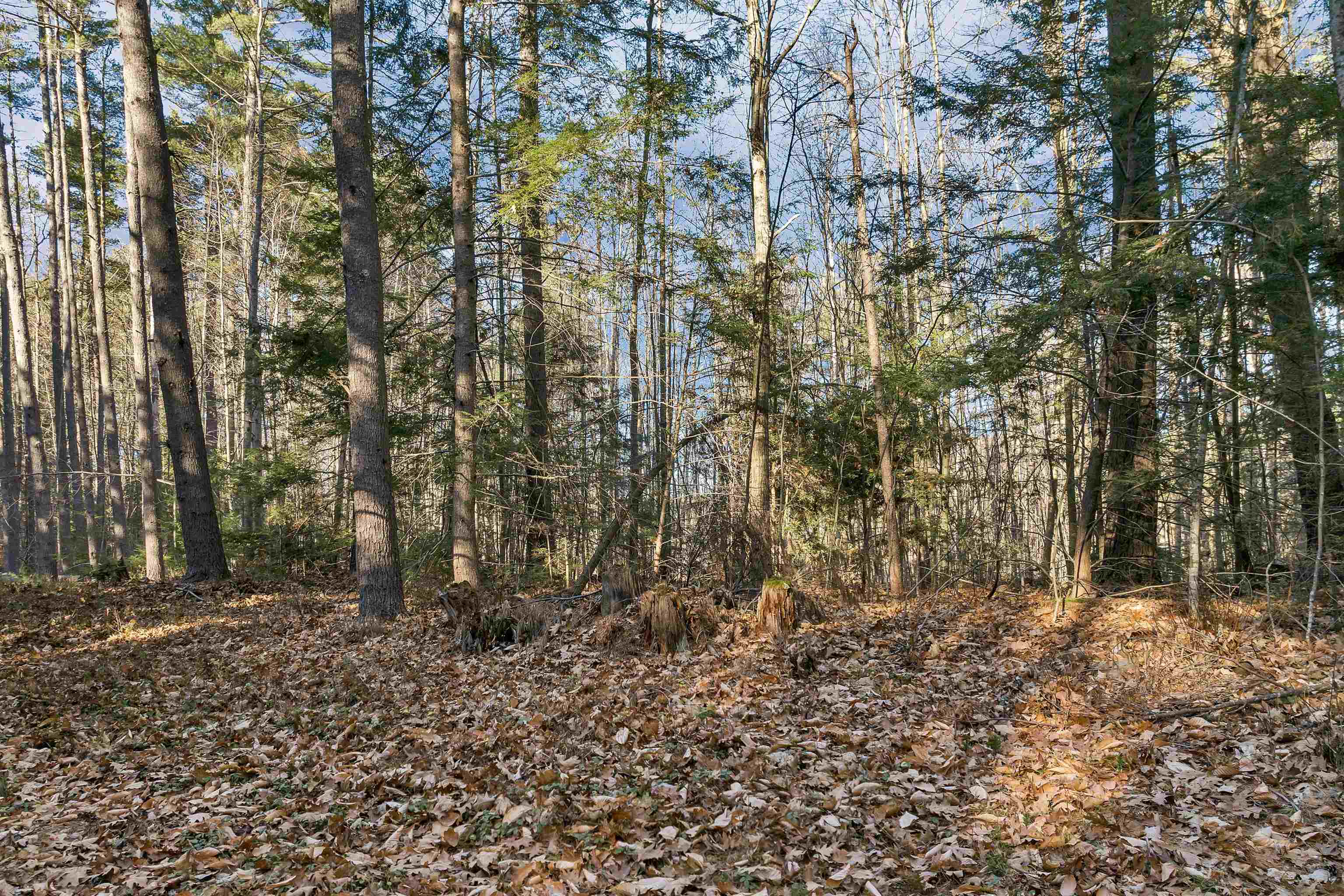Camp Rd, Wolfeboro, NH 03894