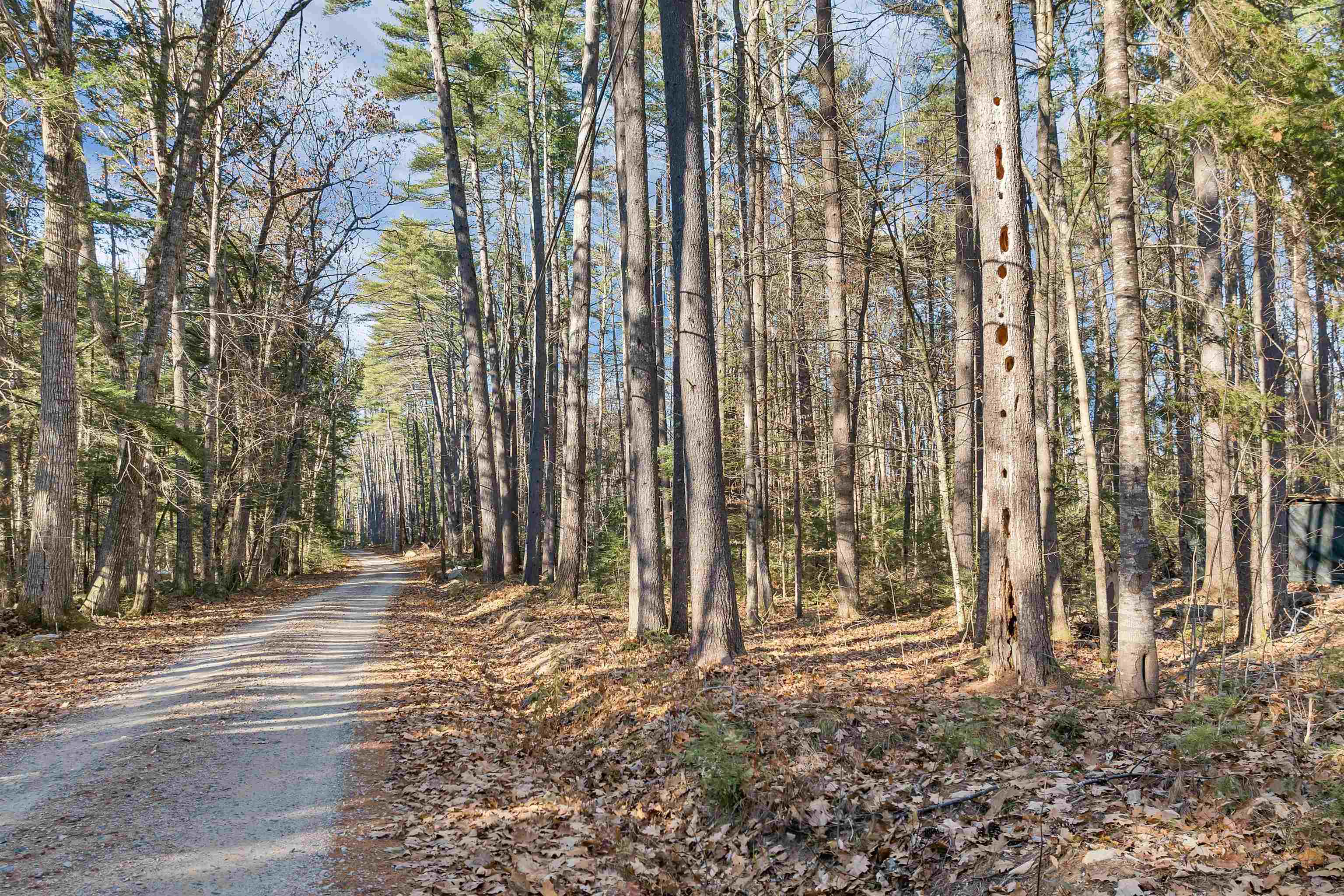 Camp Rd, Wolfeboro, NH 03894