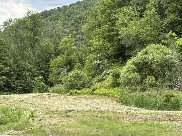 Property photo 45