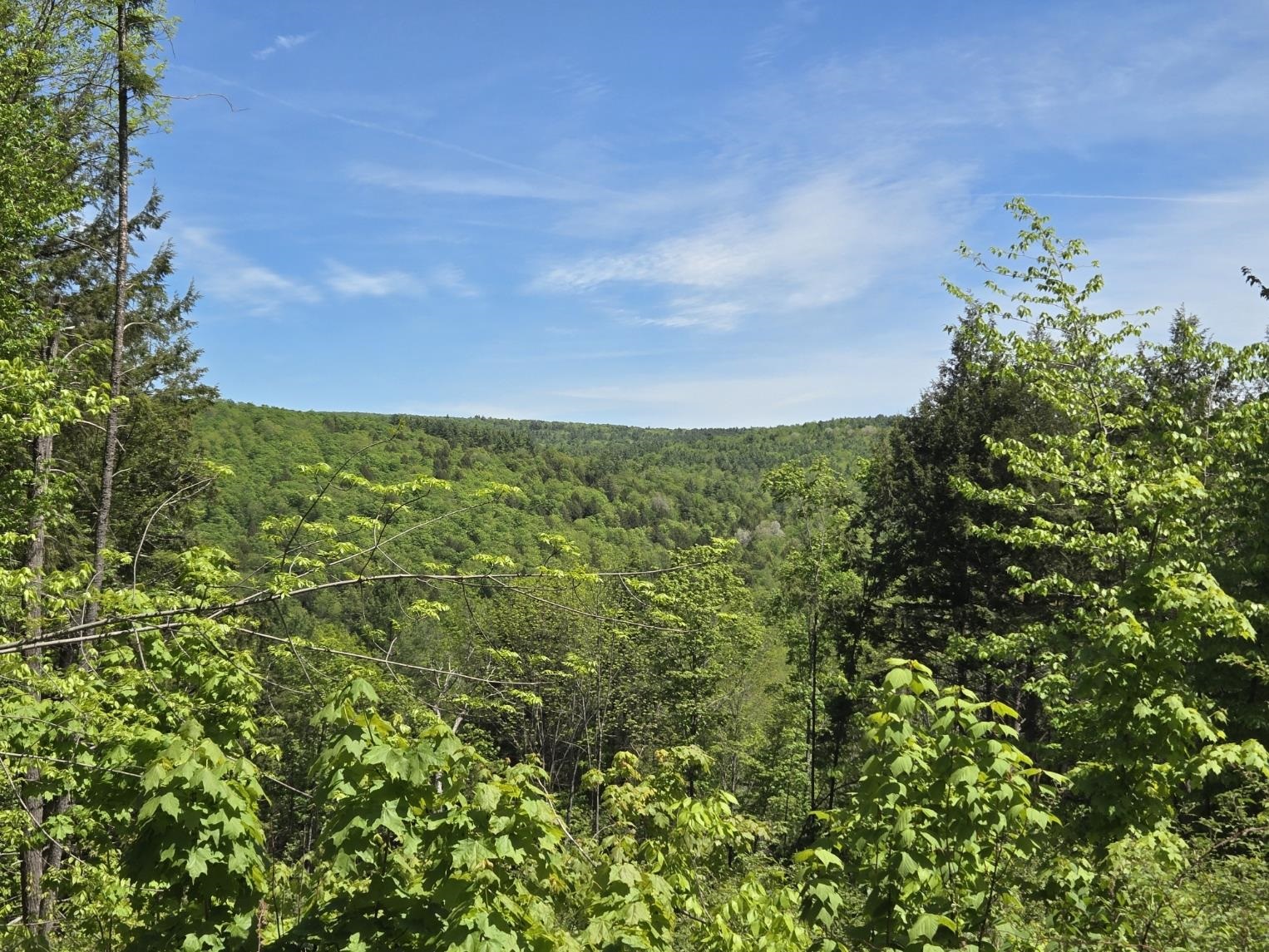 Homes for sale in Barnard, VT | 00 Vt Rte 12 Lot 2 Hwy, Barnard, VT 05031 | MLS# 5079065