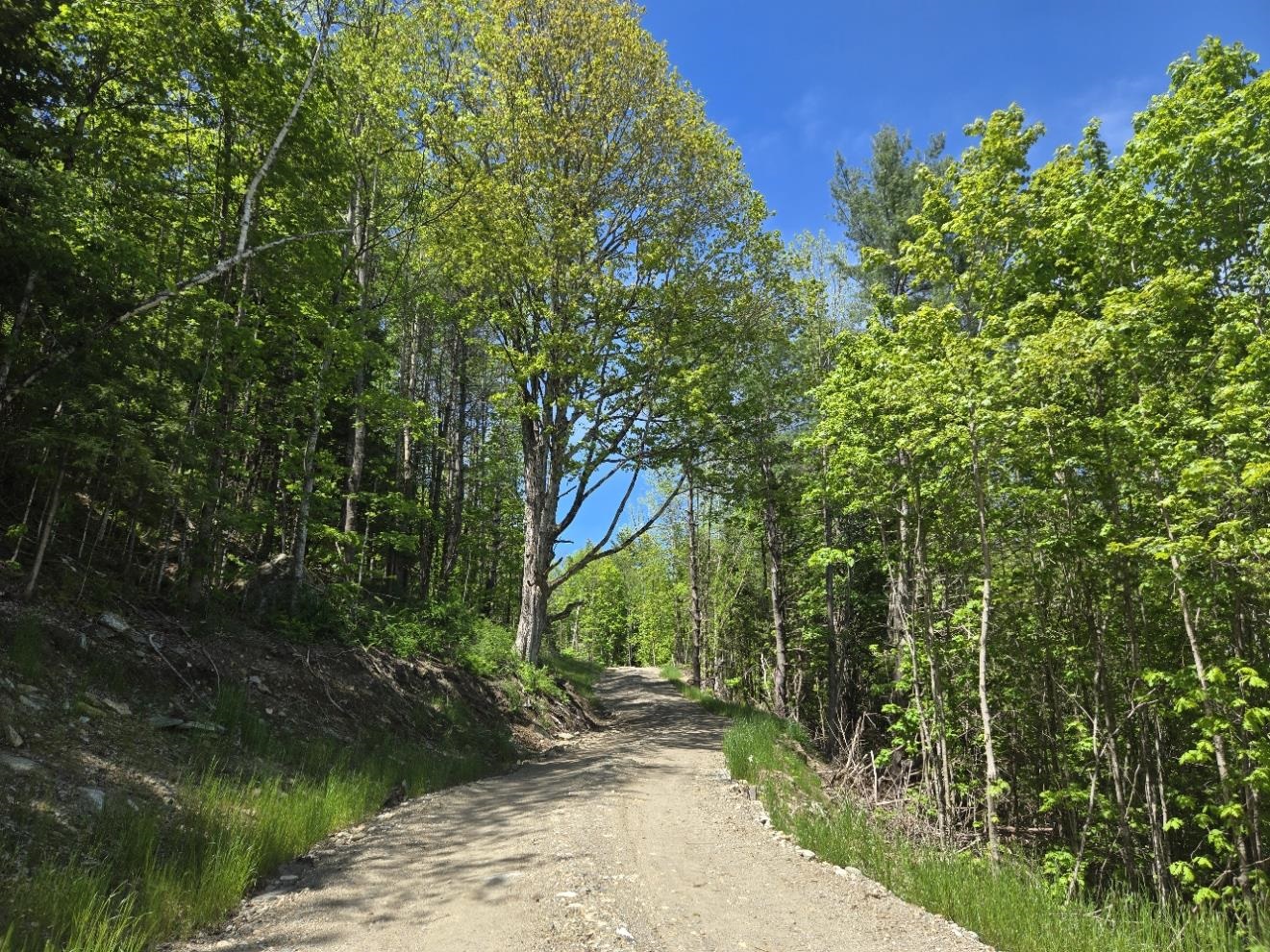 Homes for sale in Barnard, VT | 00 Vt Rte 12 Lot 2 Hwy, Barnard, VT 05031 | MLS# 5079065