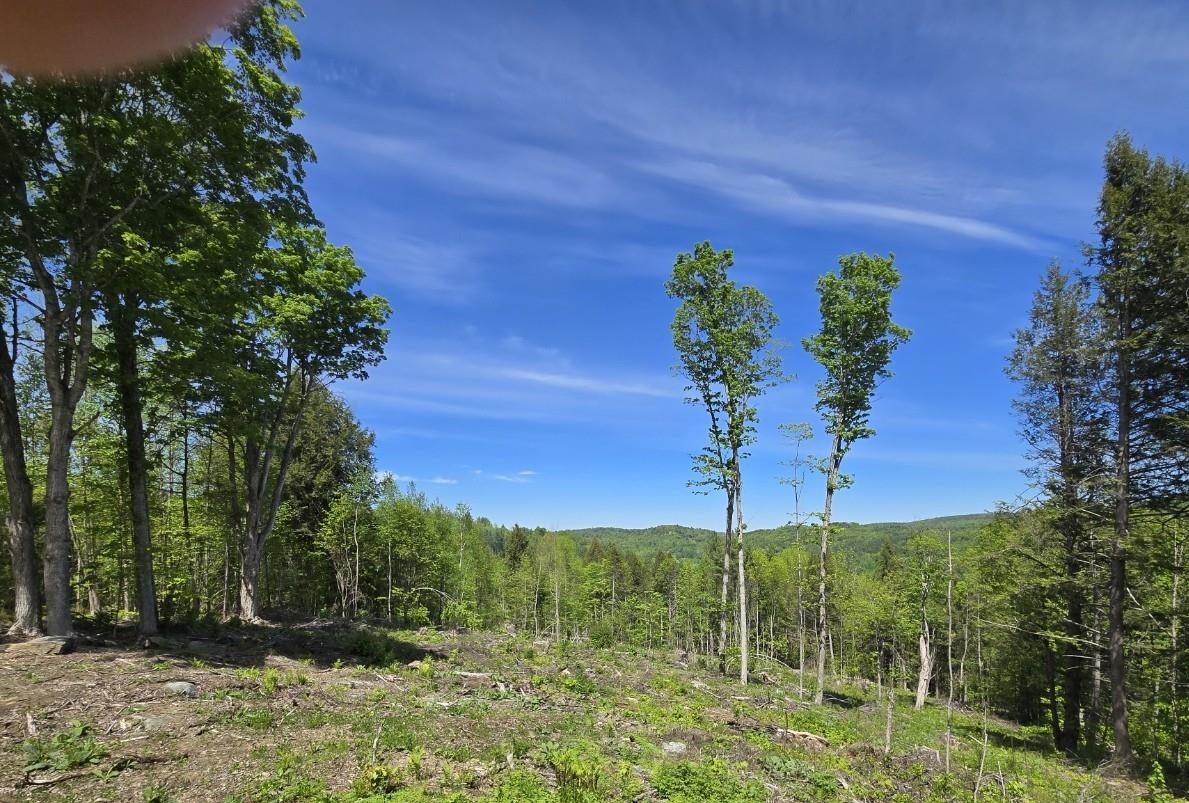 Homes for sale in Barnard, VT | 00 Vt Rte 12 Lot 1 2 Hwy, Barnard, VT 05031 | MLS# 5079084