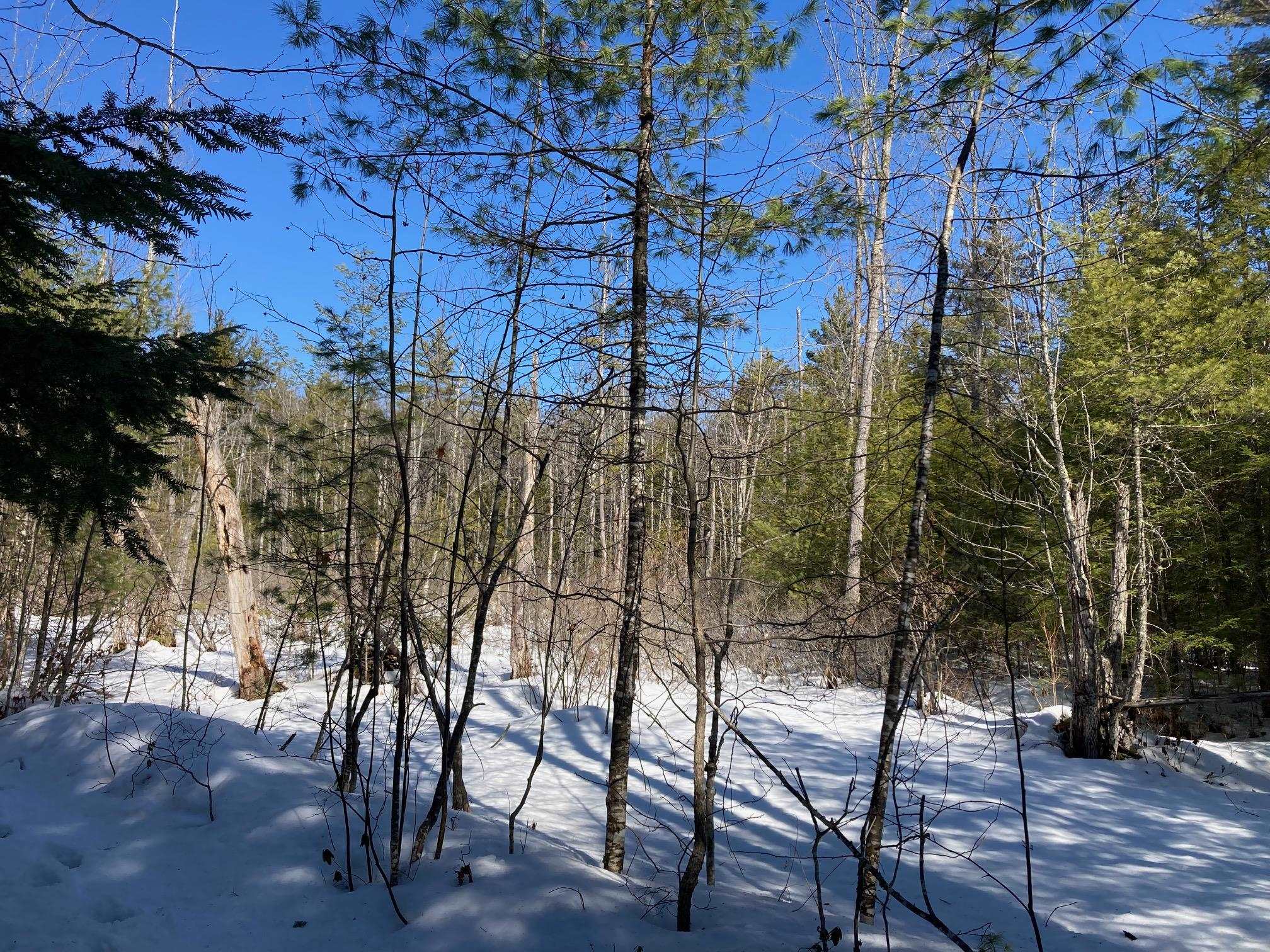 0 Henderson Rd, Conway, NH 03818