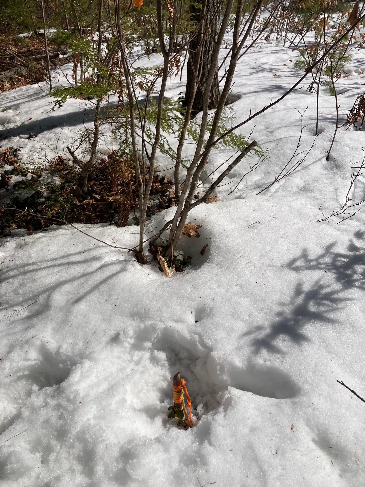 0 Henderson Rd, Conway, NH 03818