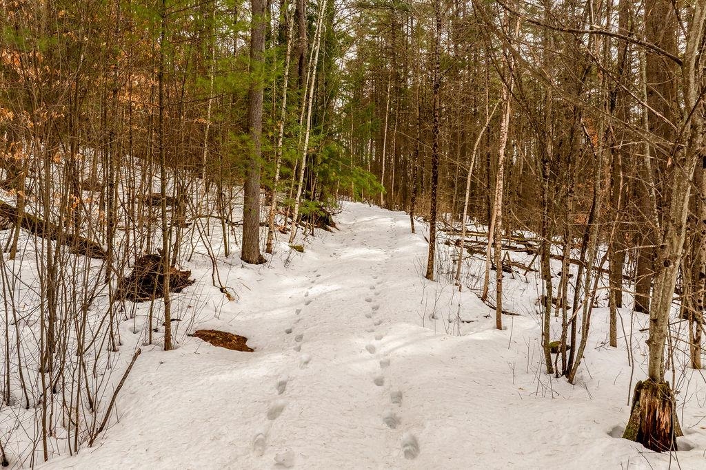 00 Route 12a, Plainfield, NH 03781