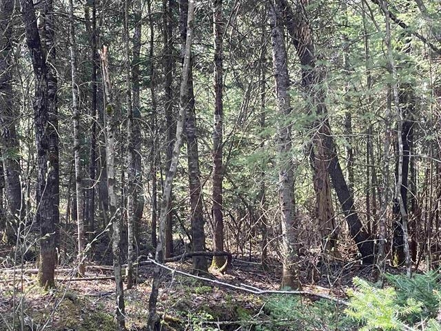 0 Simms Stream Rd, Columbia, NH 03576