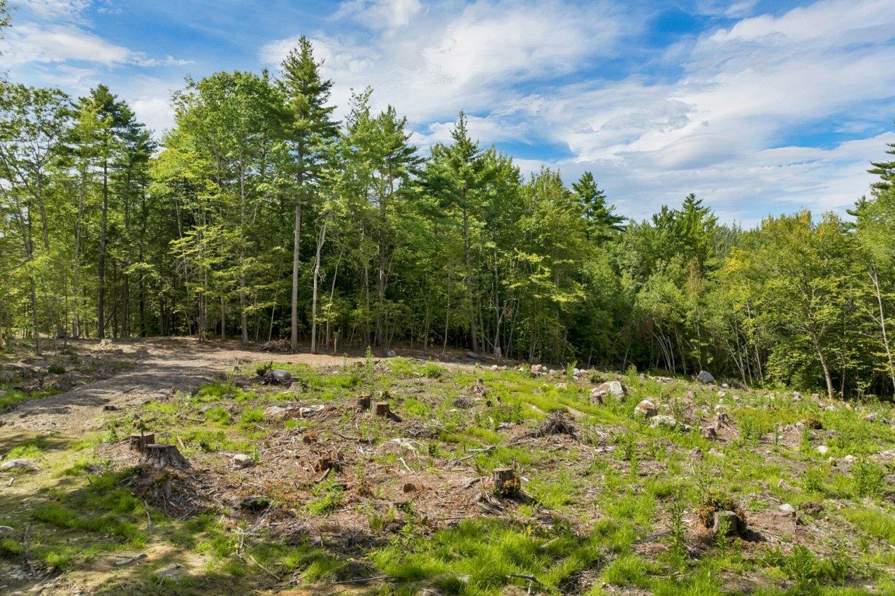 267-23 Winnipesaukee Drive — photo 3