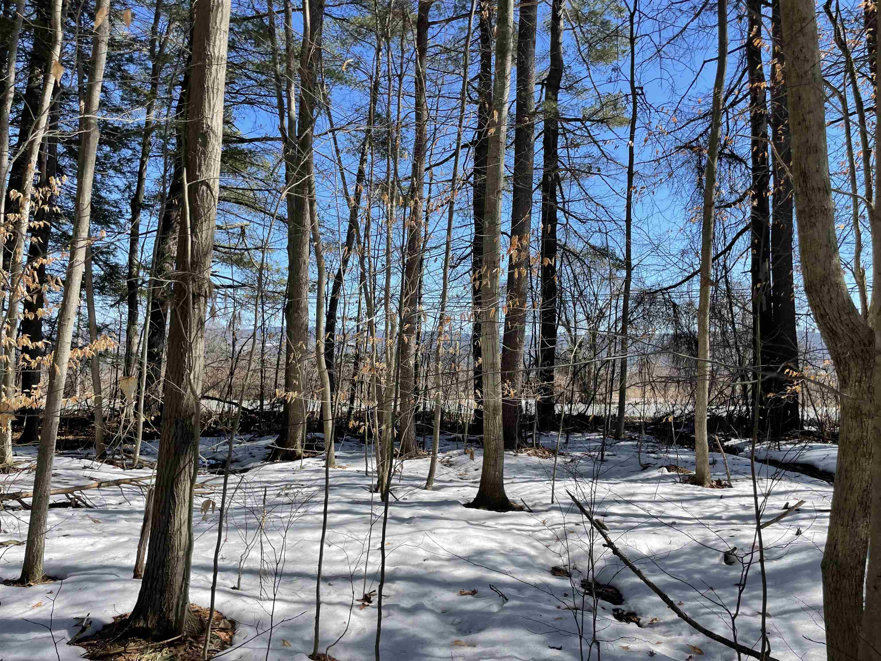 Homes for sale in Westminster, VT | 123 Us Route 5, Westminster, VT 05158 | MLS# 5079172