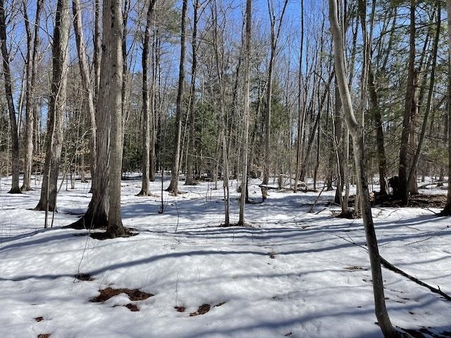 Homes for sale in Westminster, VT | 123 Us Route 5, Westminster, VT 05158 | MLS# 5079172