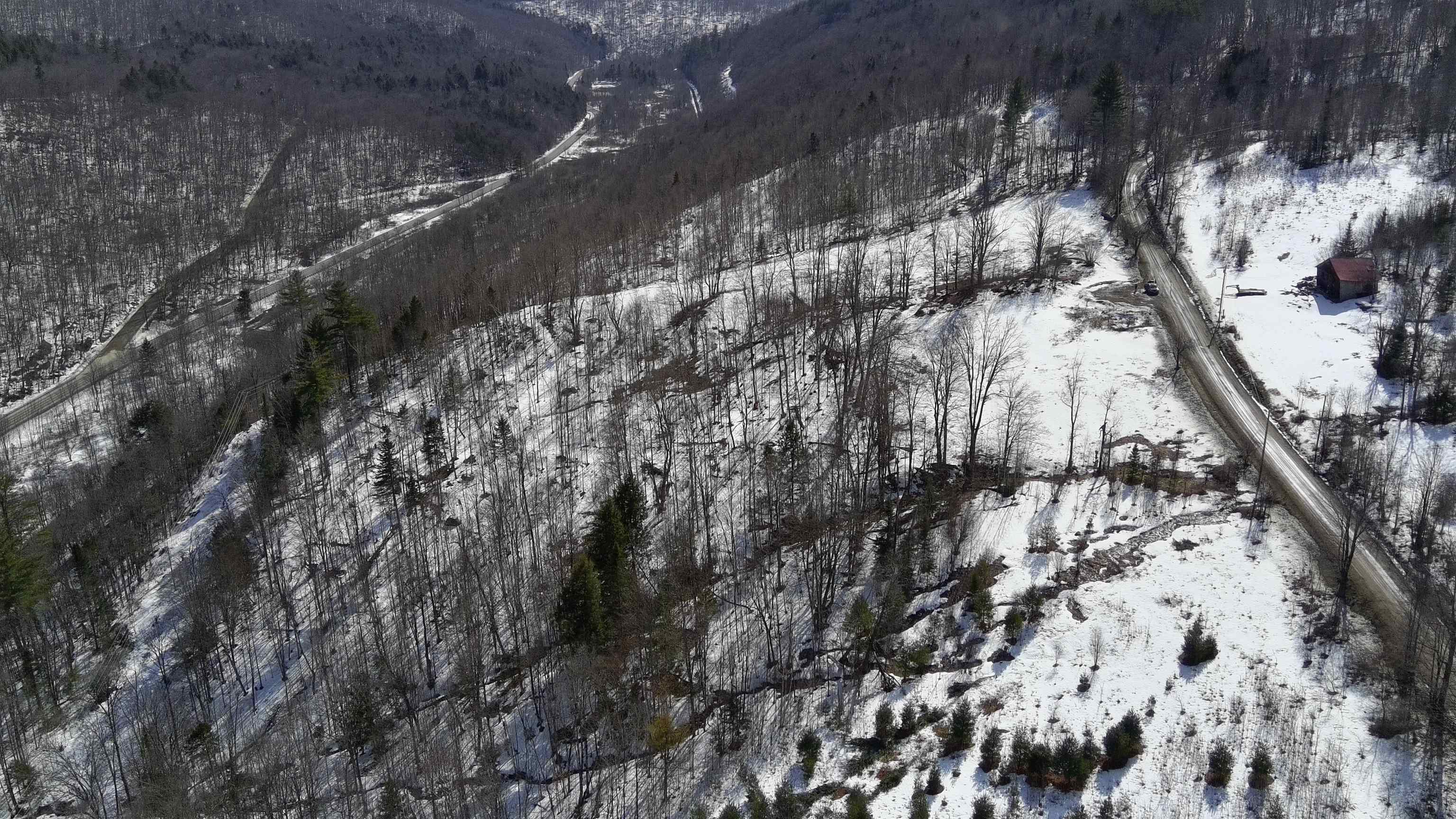 Homes for sale in Roxbury, VT | Tbd Thurston Hill Rd, Roxbury, VT 05669 | MLS# 5079257